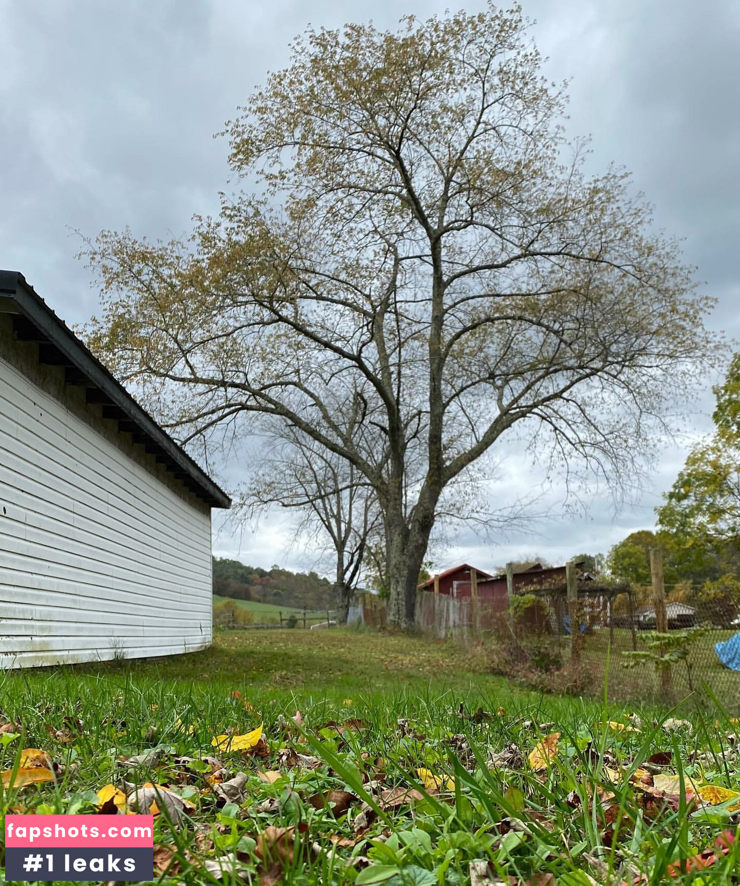 Fierceified Nude Leaks OnlyFans Photos #150 - Fapshots