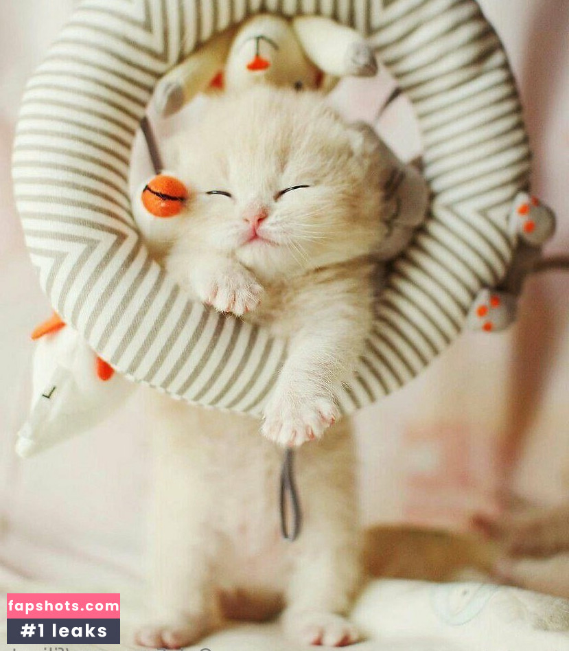 fillnat Nude Leaks OnlyFans Photos #13 - LeakJerk