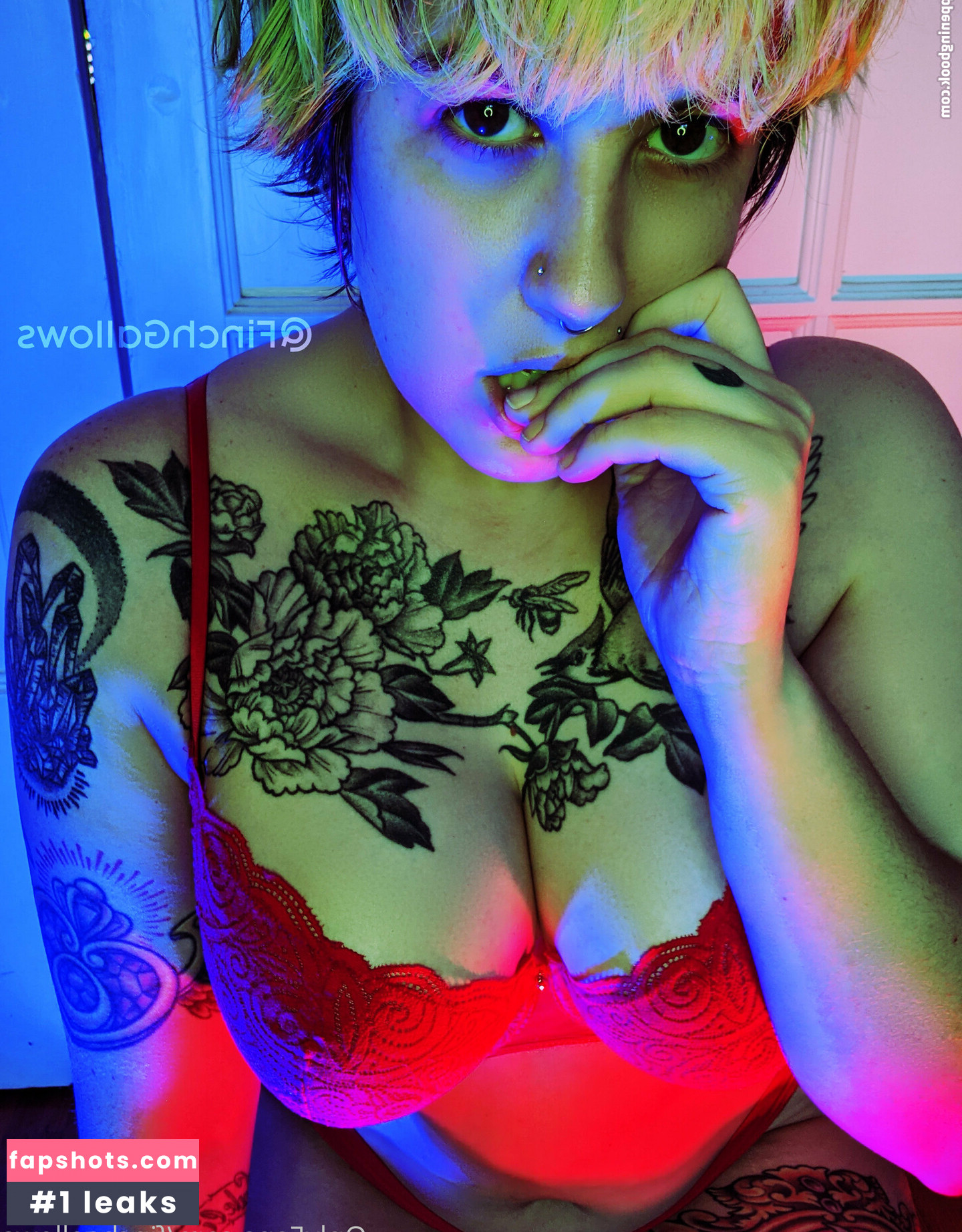 finchgallows gallery photo #33