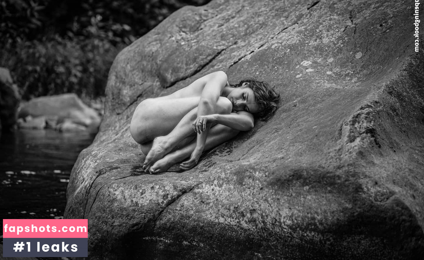 Fine Wolfanguar gallery photo #12