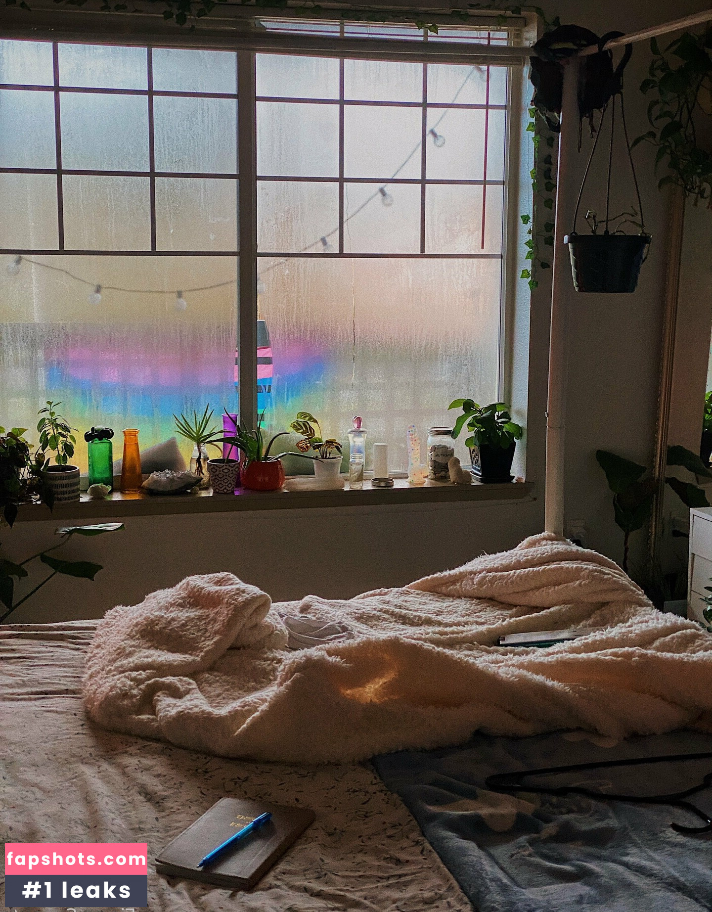 fionasprouts99 gallery photo #8