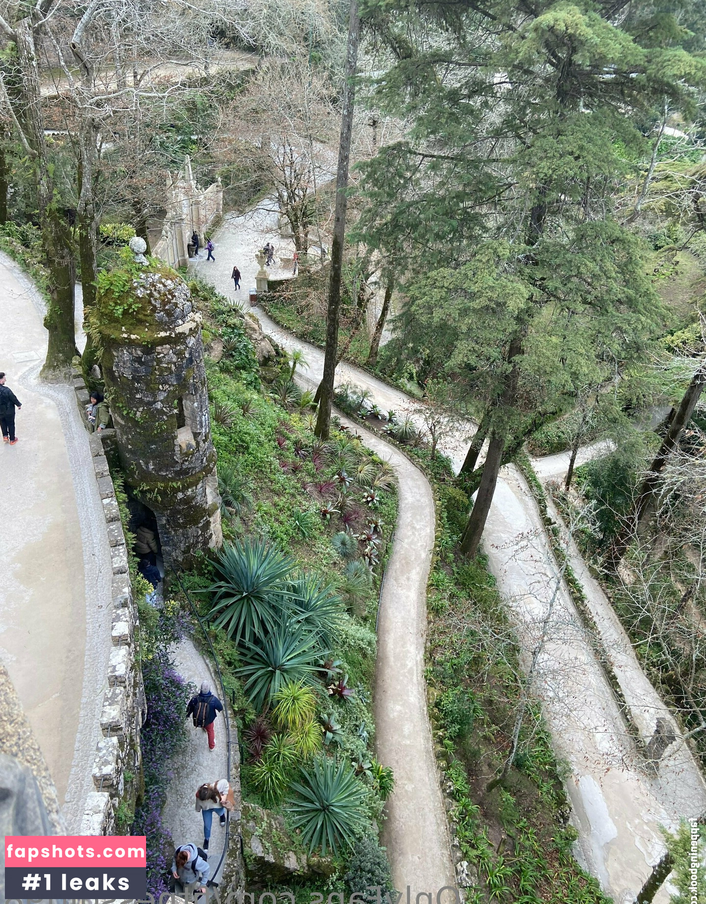 fitnessgirl98 gallery photo #64