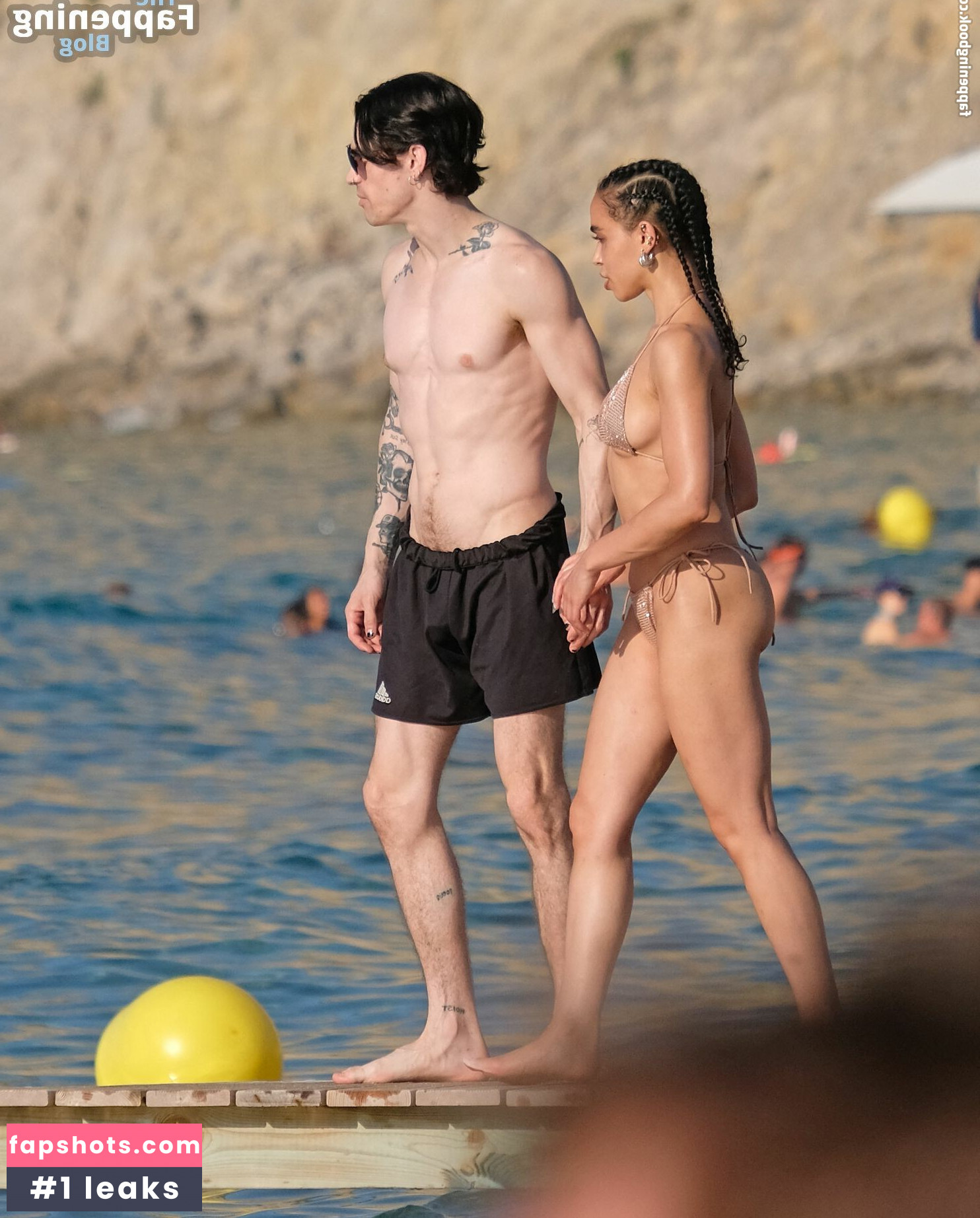 FKA twigs gallery photo #199