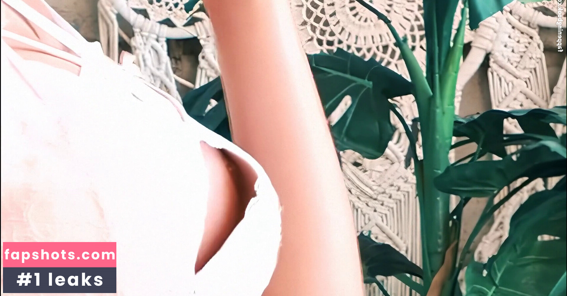 FLYWITHME gallery photo #17