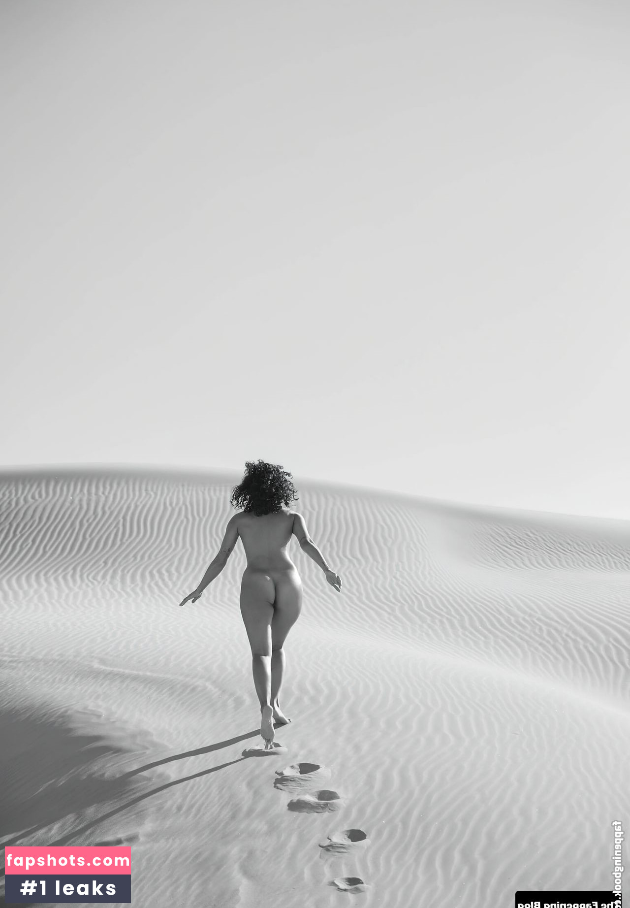 Fo Porter gallery photo #42