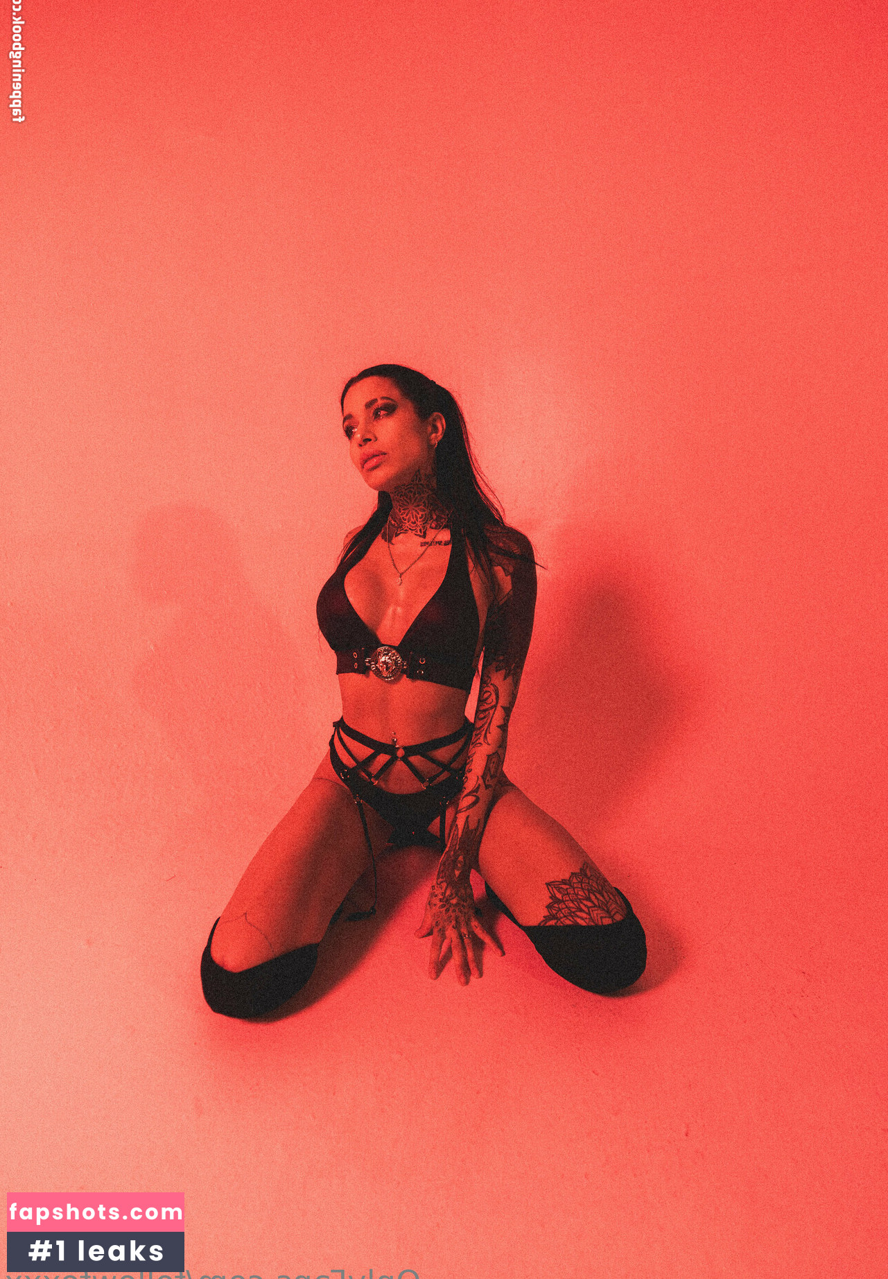 followfoxxx Nacktheit OnlyFans Fotos #5 - Fapshots