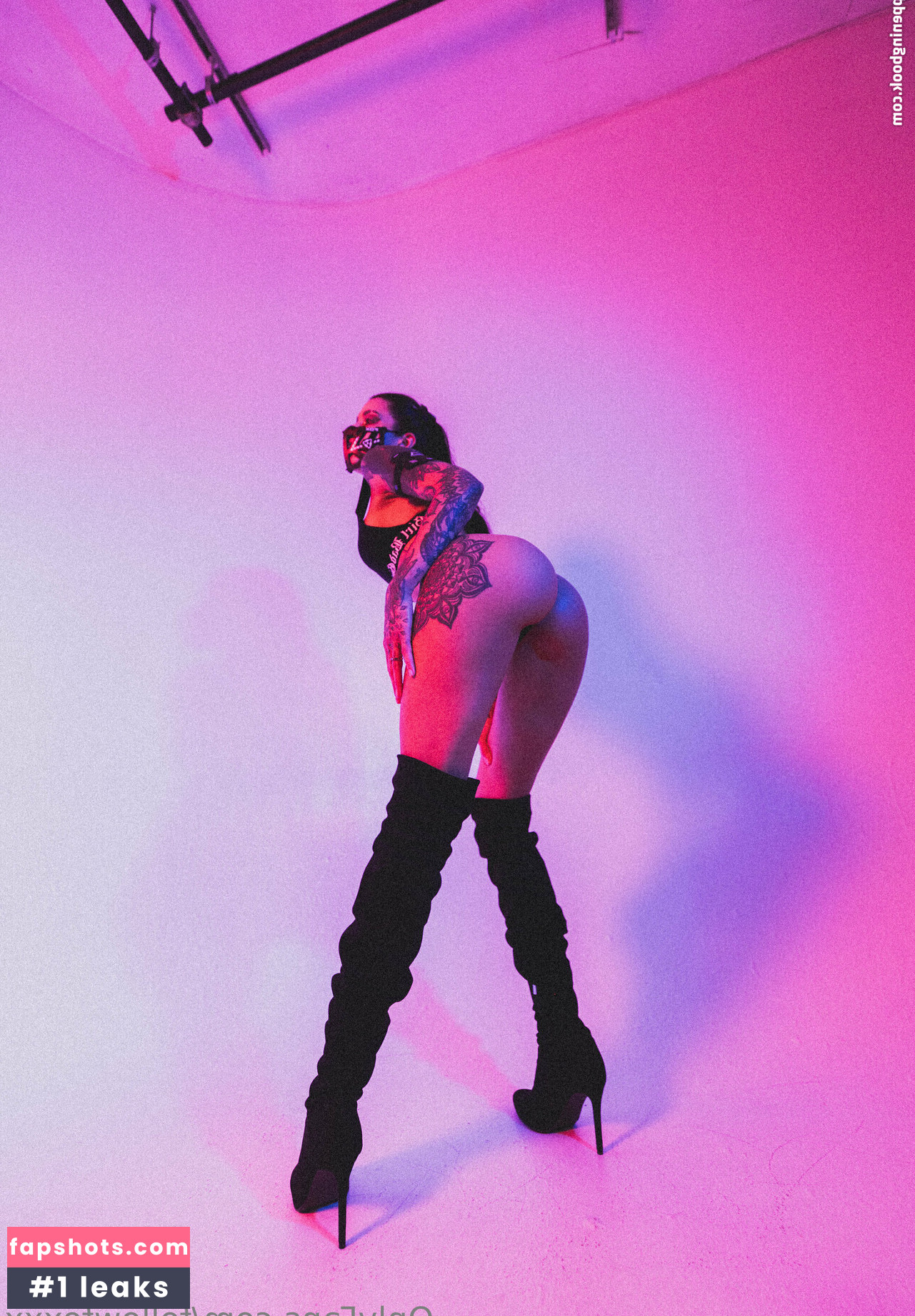 followfoxxx Nacktheit OnlyFans Fotos #6 - Fapshots