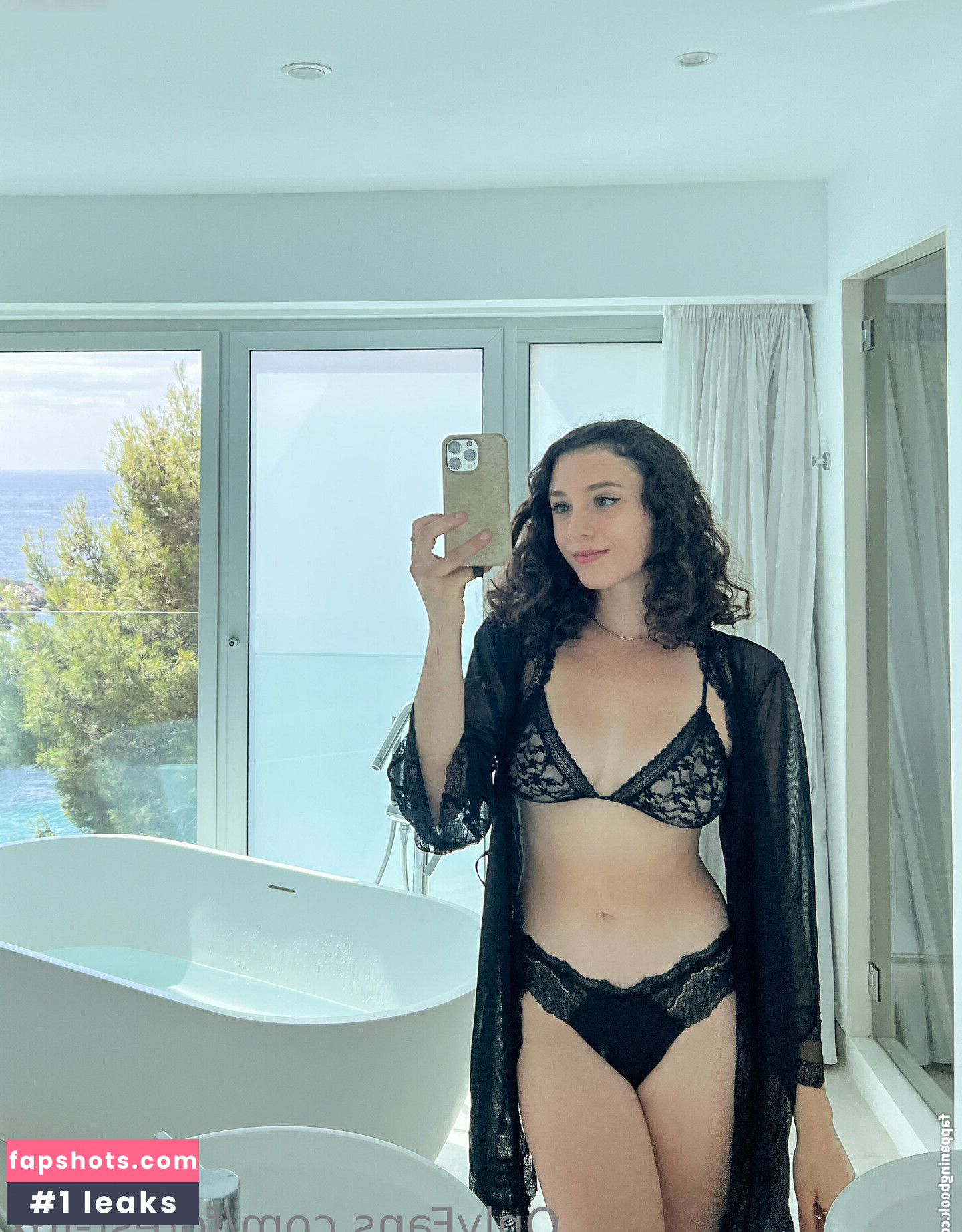 Forest-fox gallery photo #111