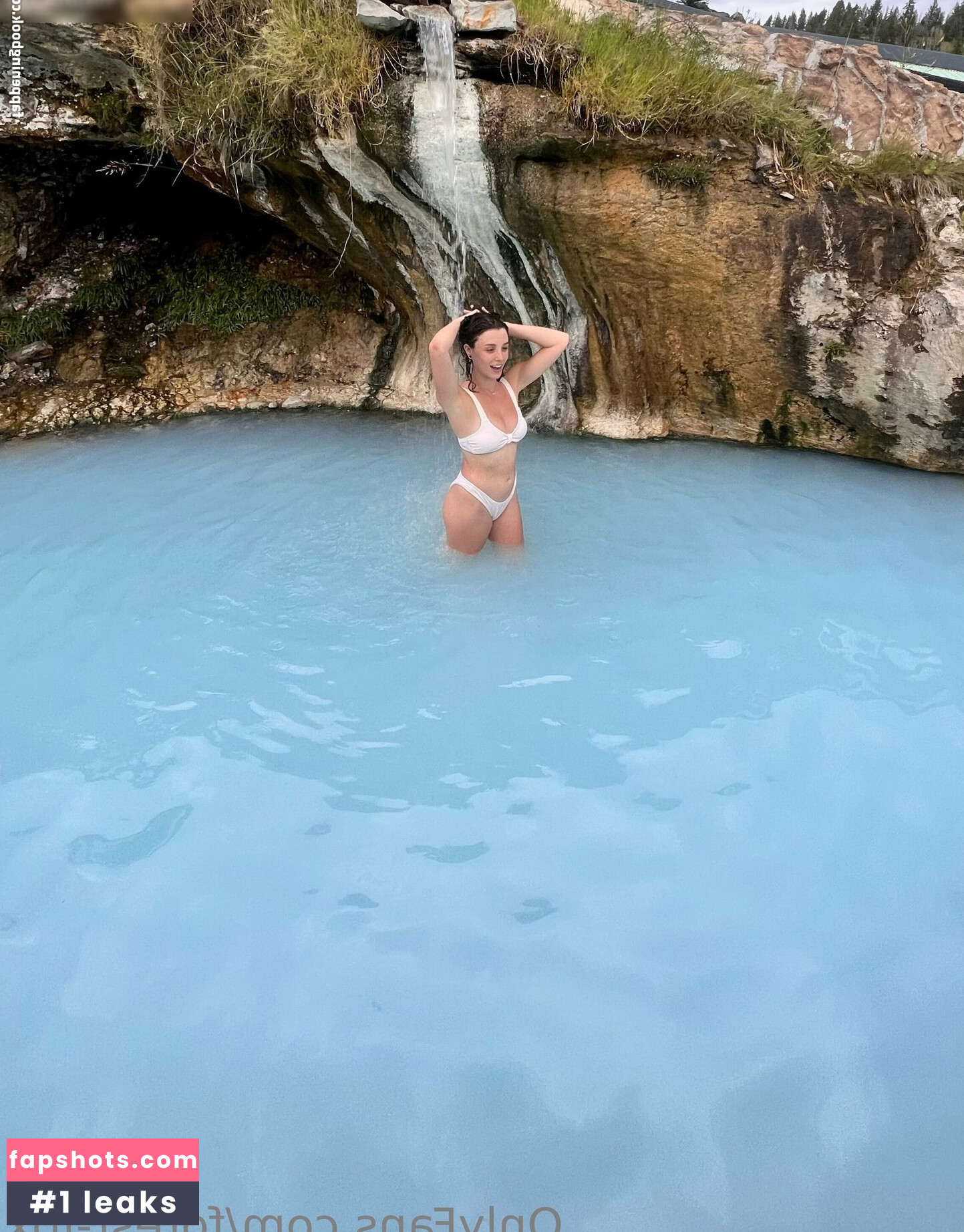 Forest-fox gallery photo #113