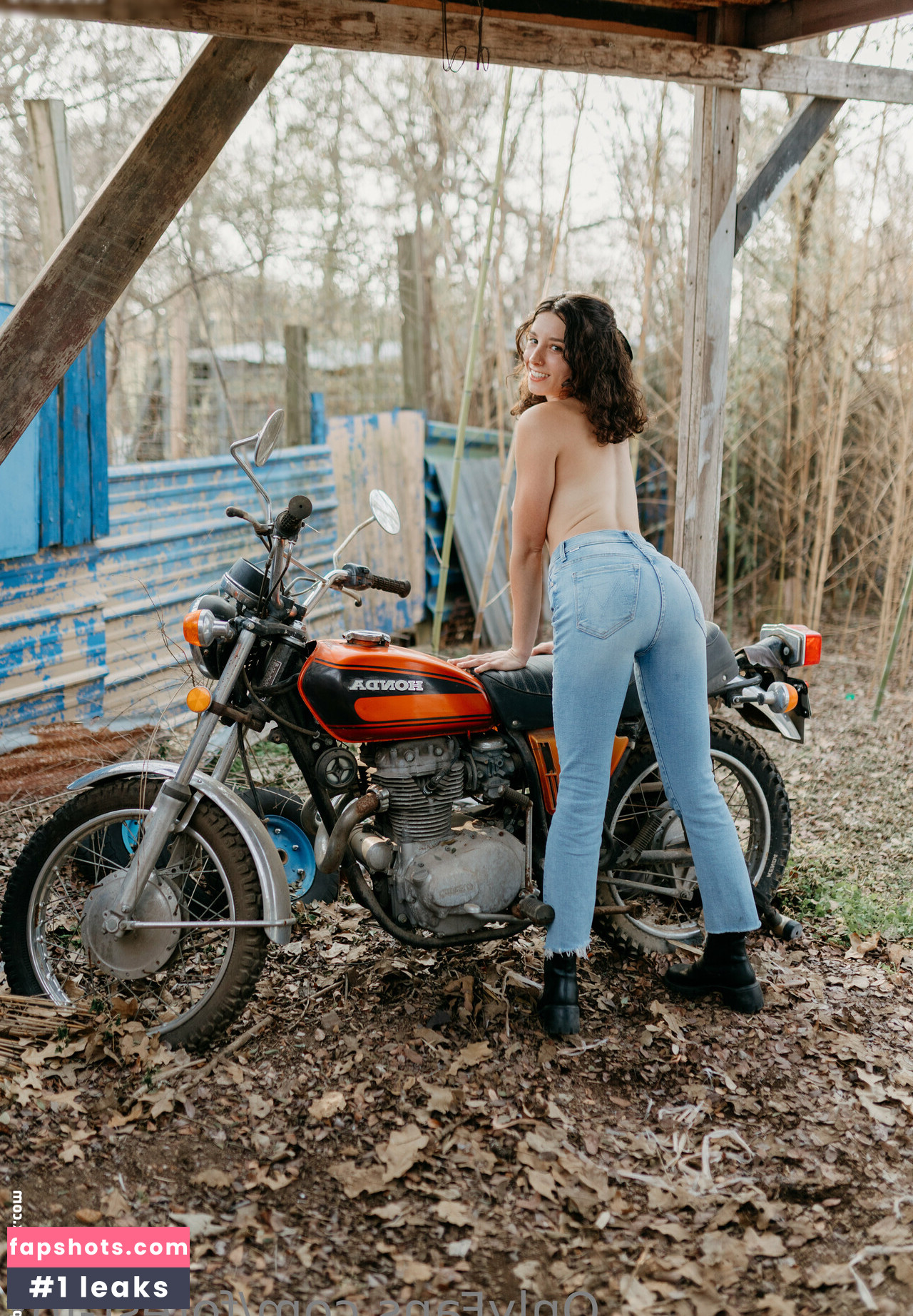 Forest-fox gallery photo #116