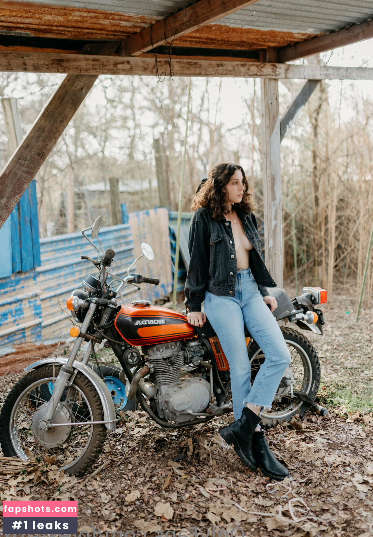 Forest-fox gallery photo #119