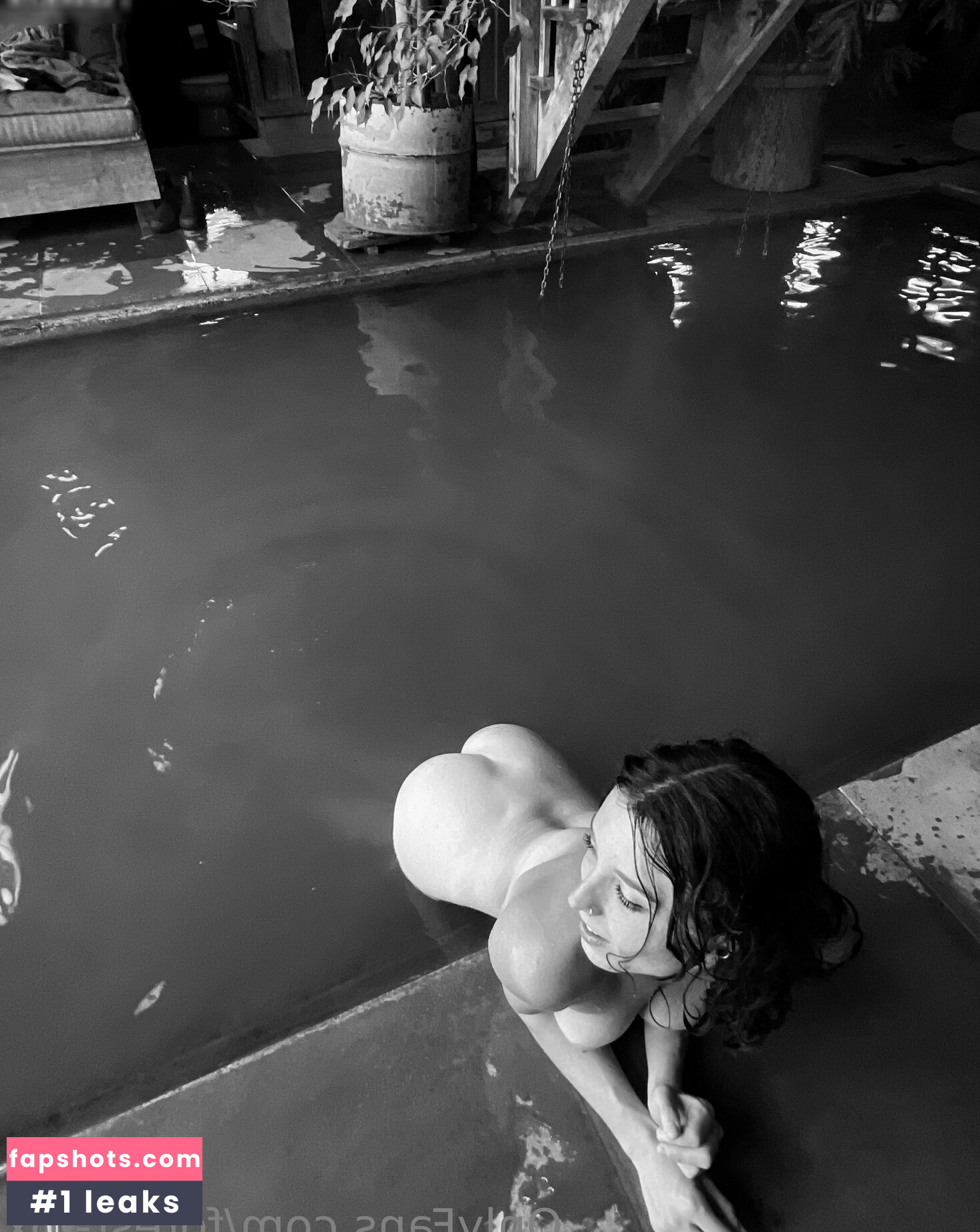 Forest-fox gallery photo #13