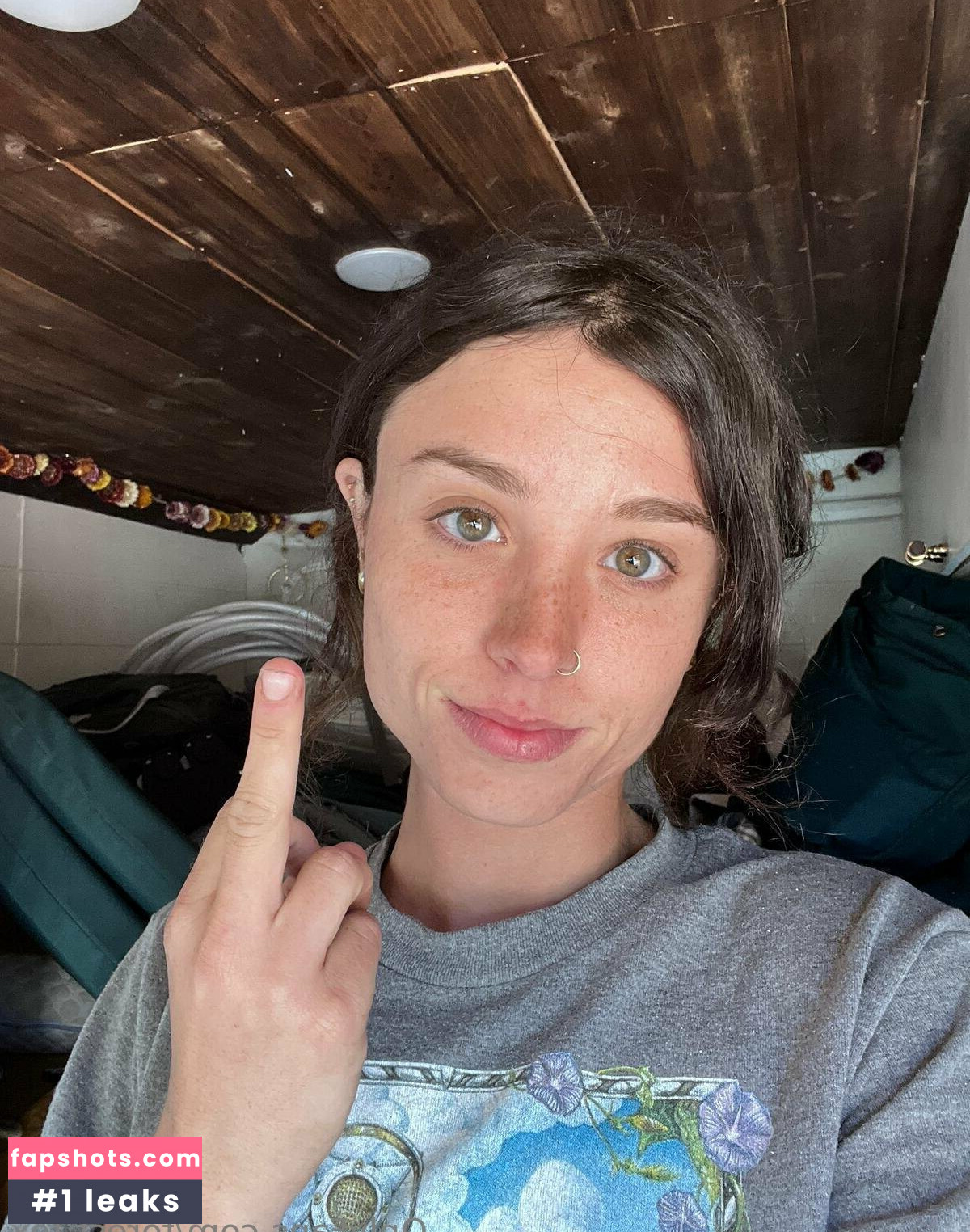 Forest-fox gallery photo #135