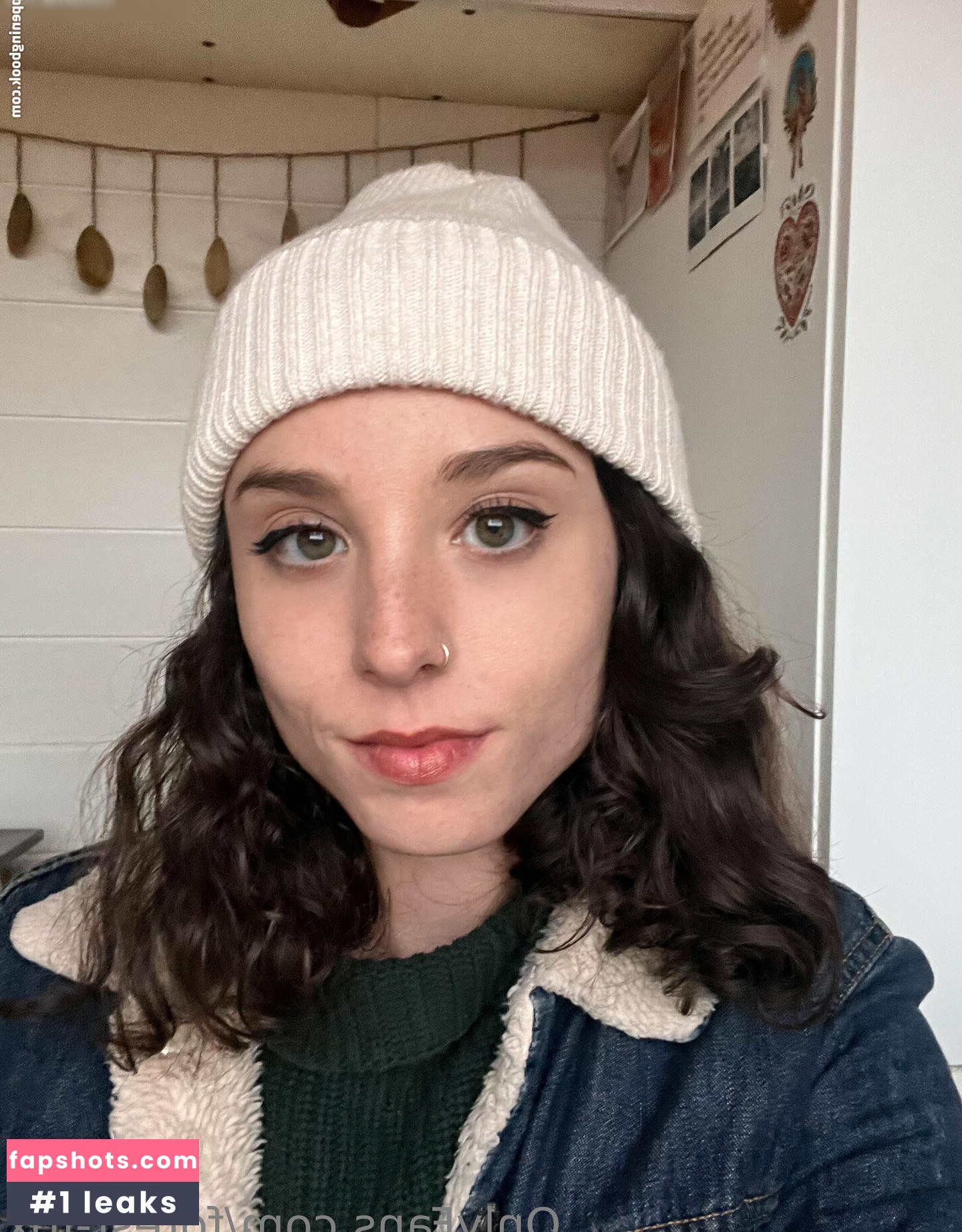 Forest-fox gallery photo #18