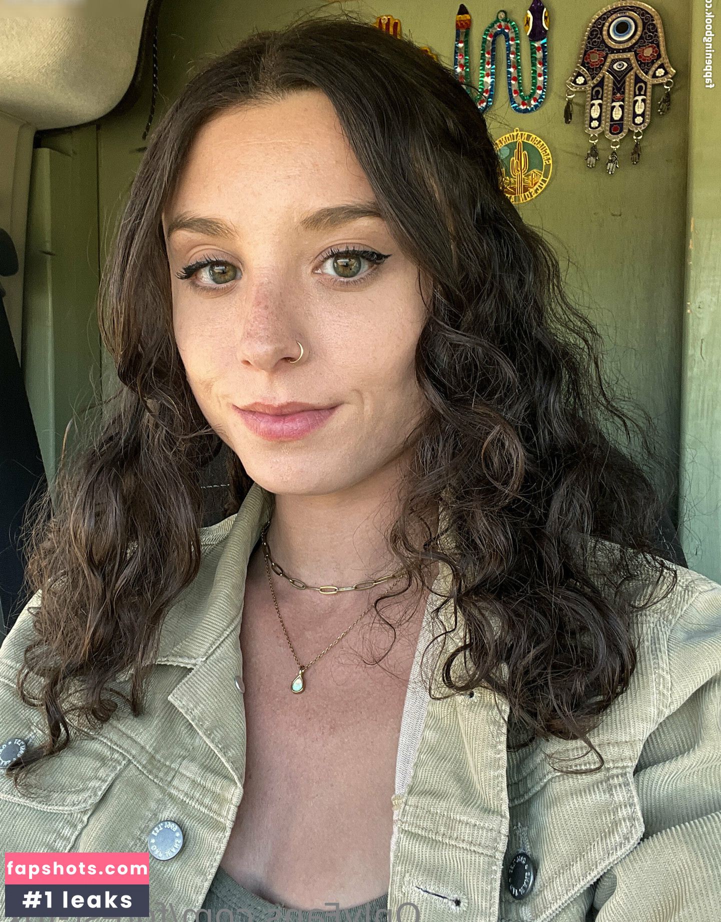 Forest-fox gallery photo #3