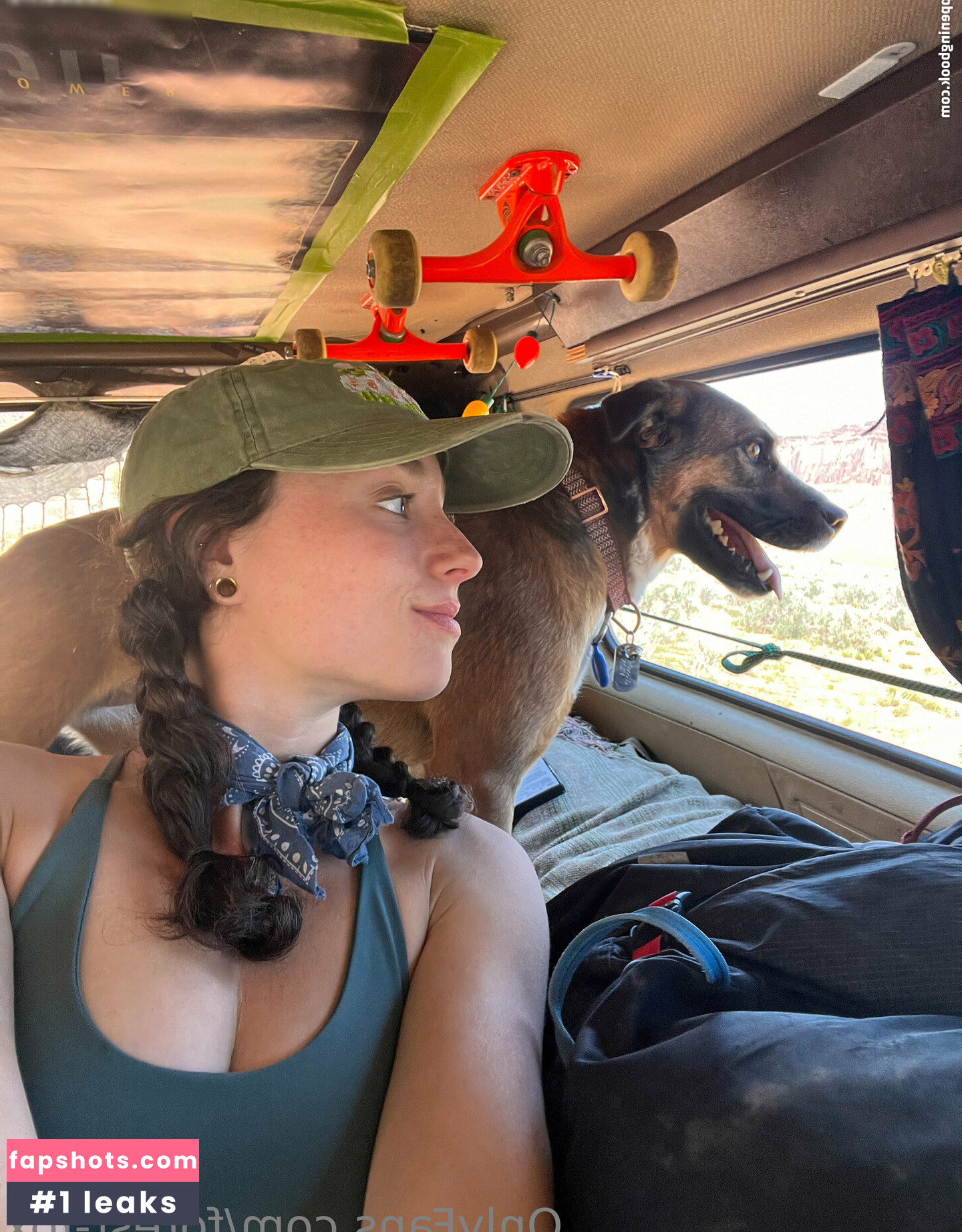 Forest-fox gallery photo #28