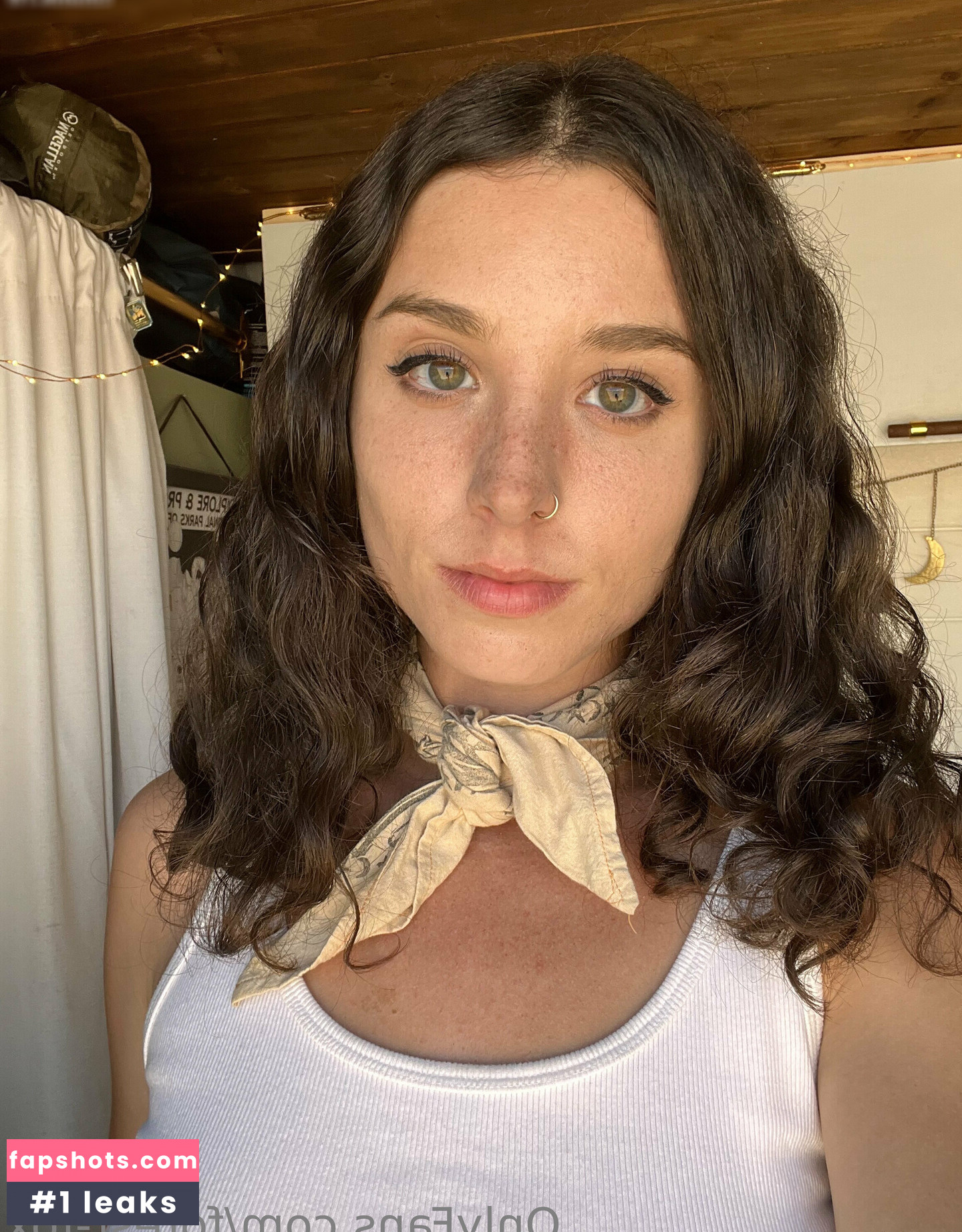 Forest-fox gallery photo #32