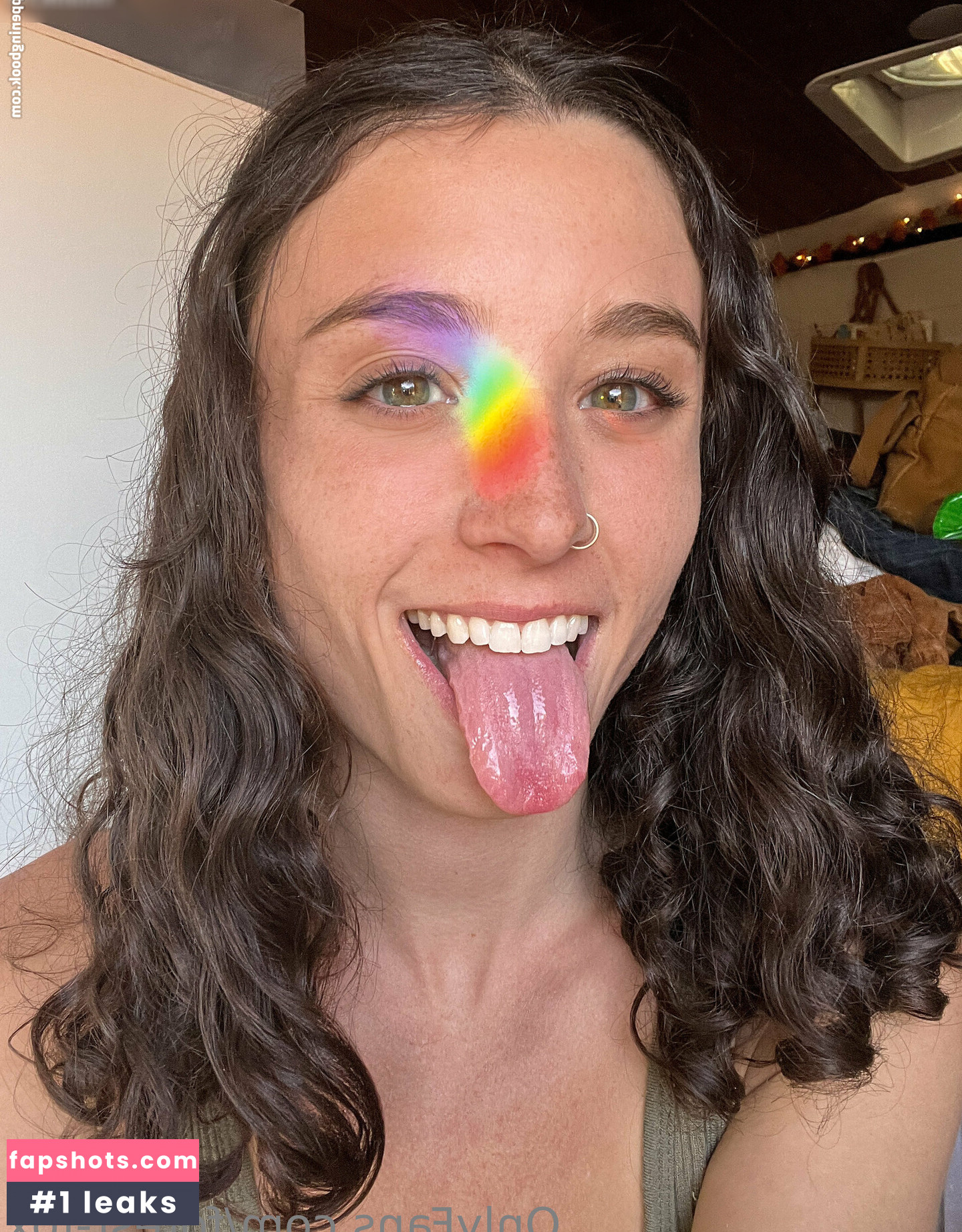 Forest-fox gallery photo #38