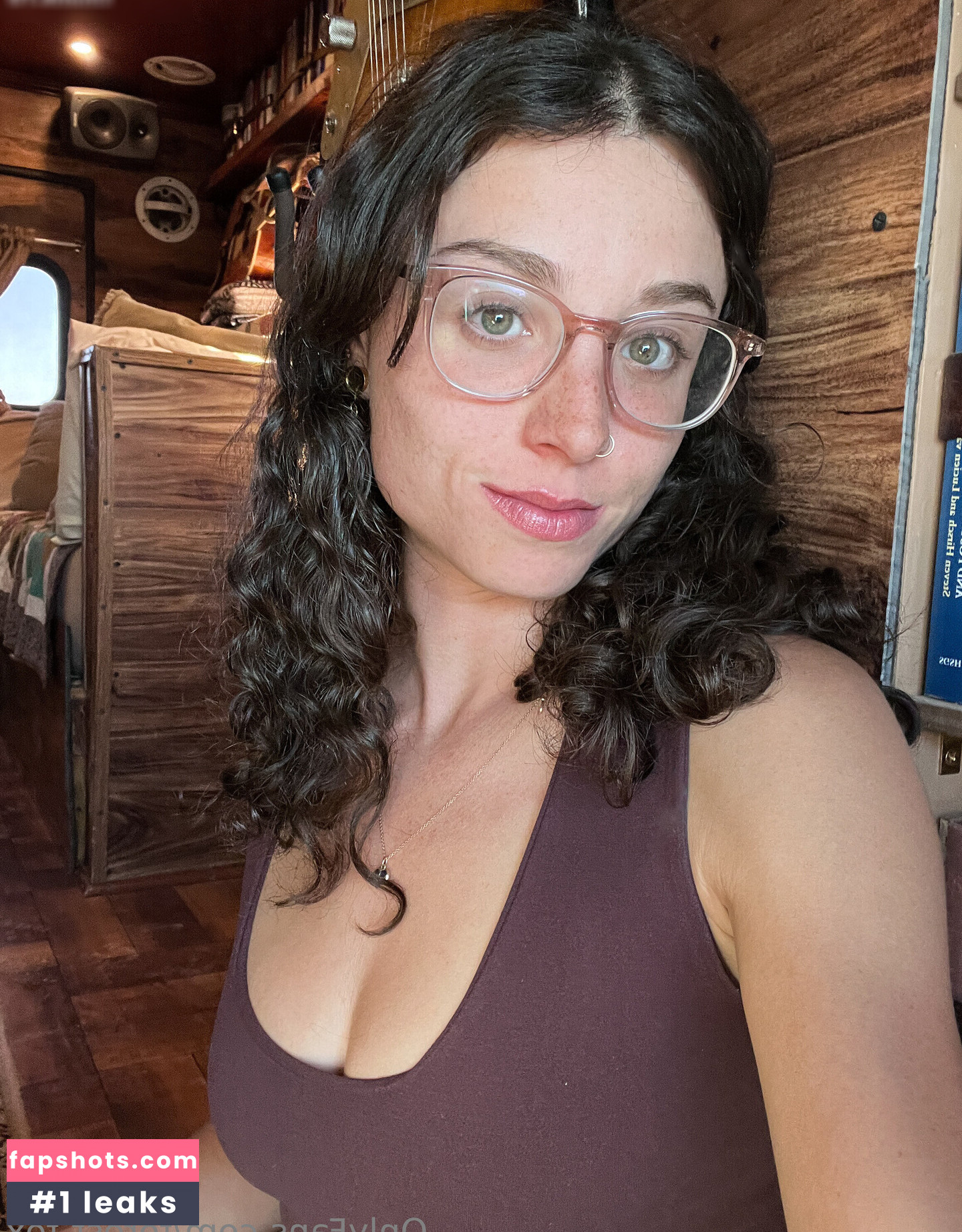 Forest-fox gallery photo #56