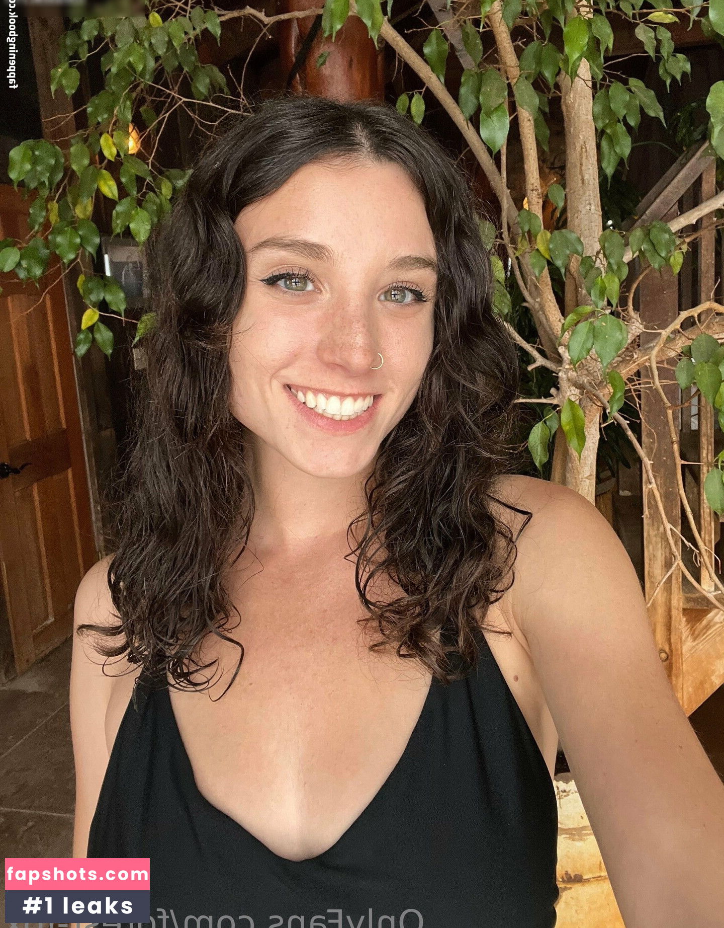 Forest-fox gallery photo #66