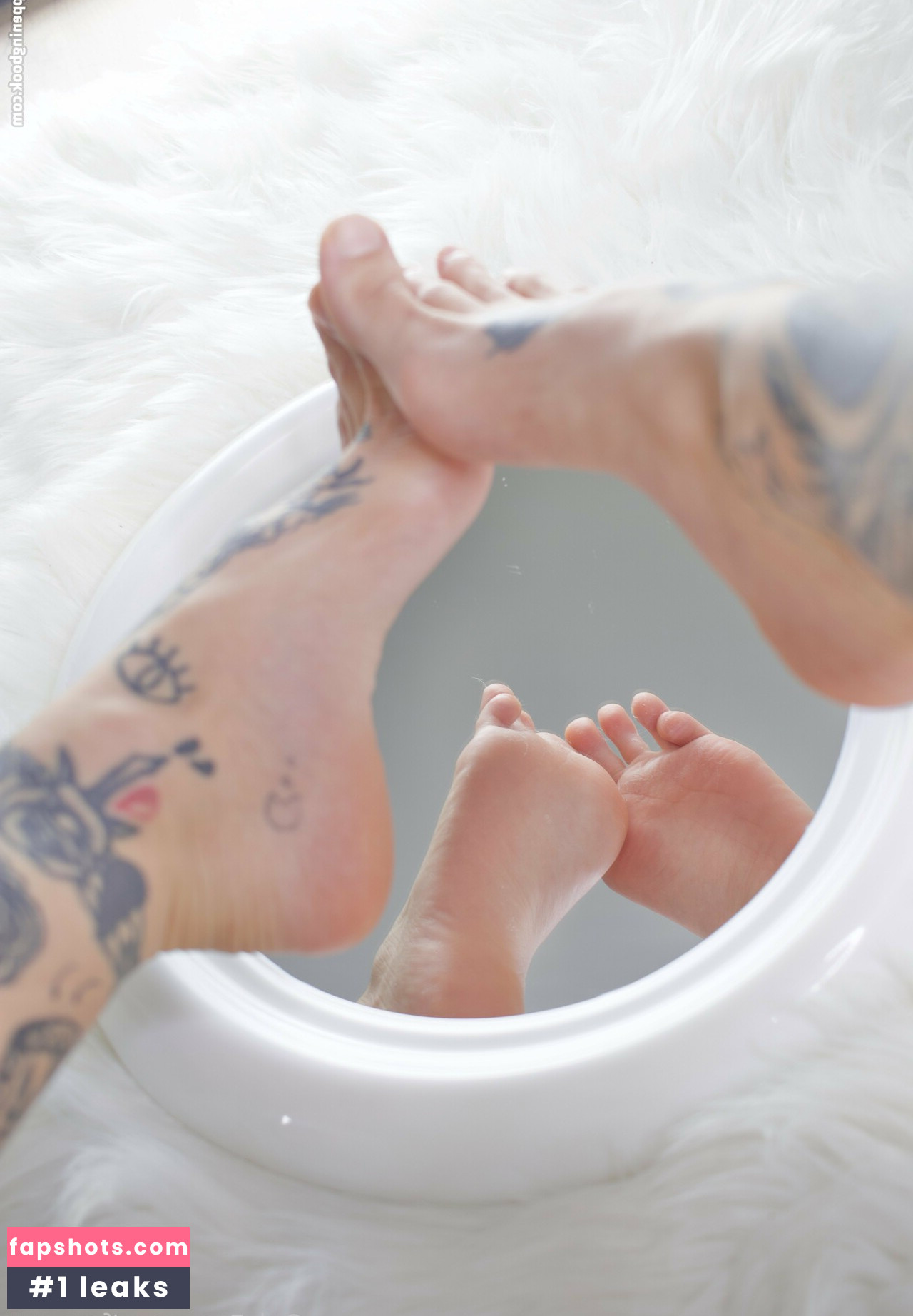 foxaurus gallery photo #3