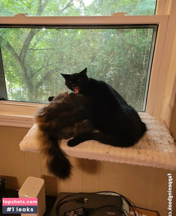 foxygamergurl nude babe gallery