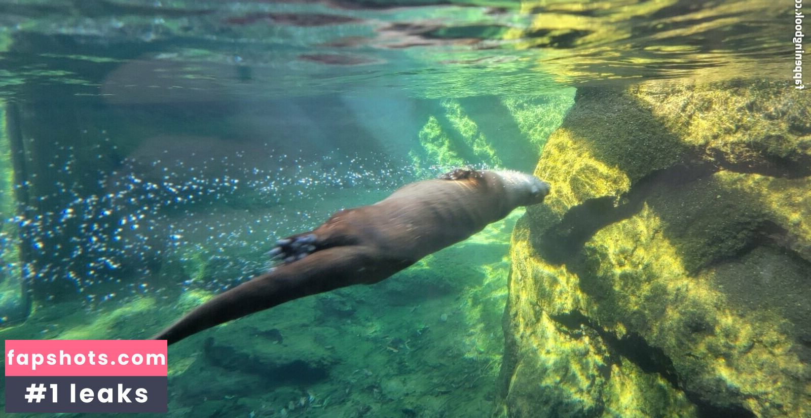 foxyopheliaa gallery photo #6