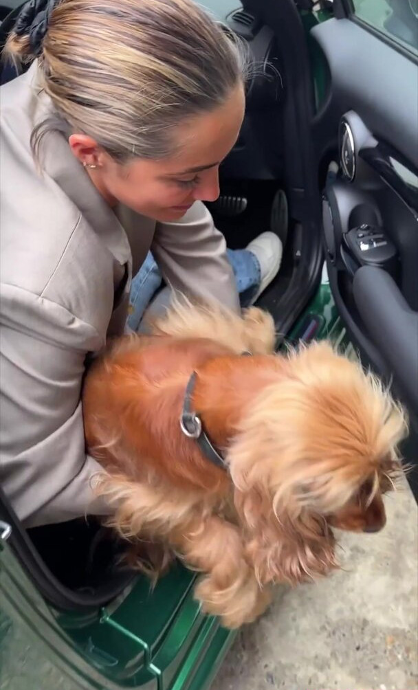 frankie-bridge gallery photo #1399