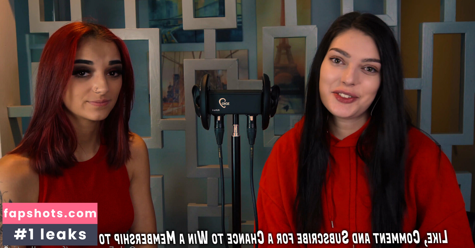 freecollection gallery photo #12