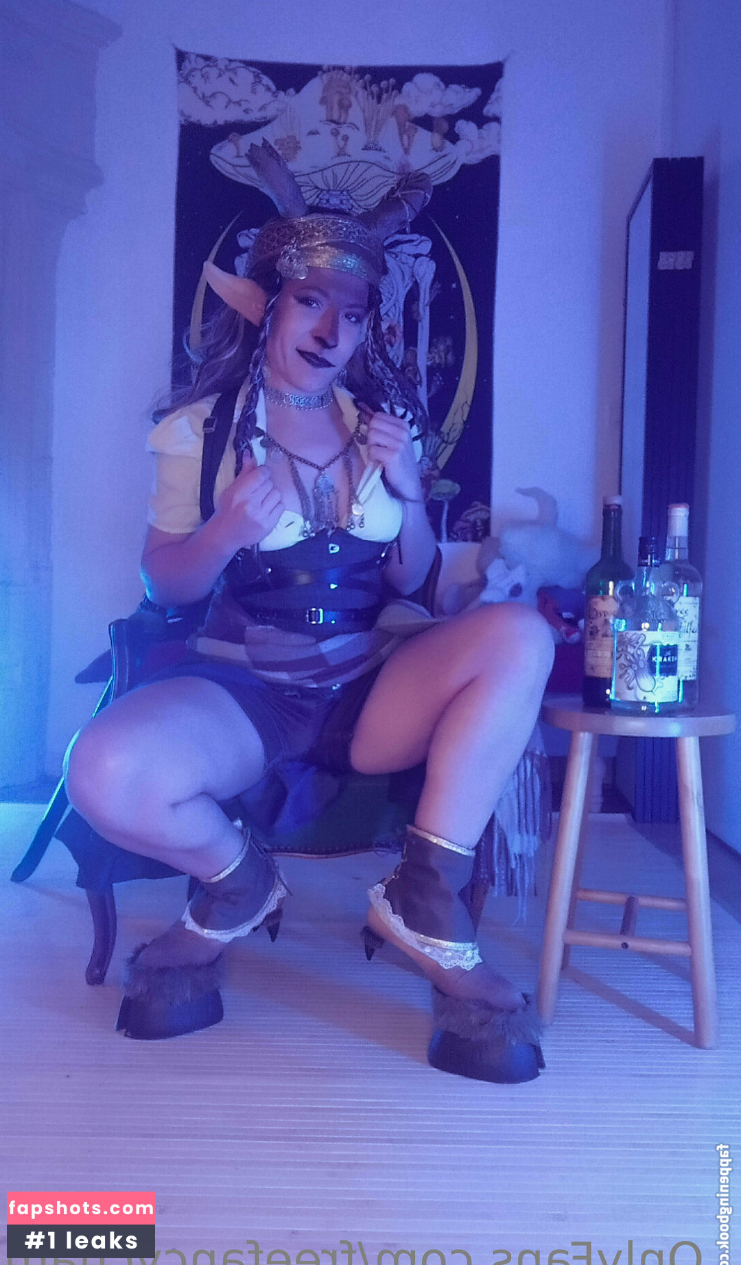 freefancycham gallery photo #13