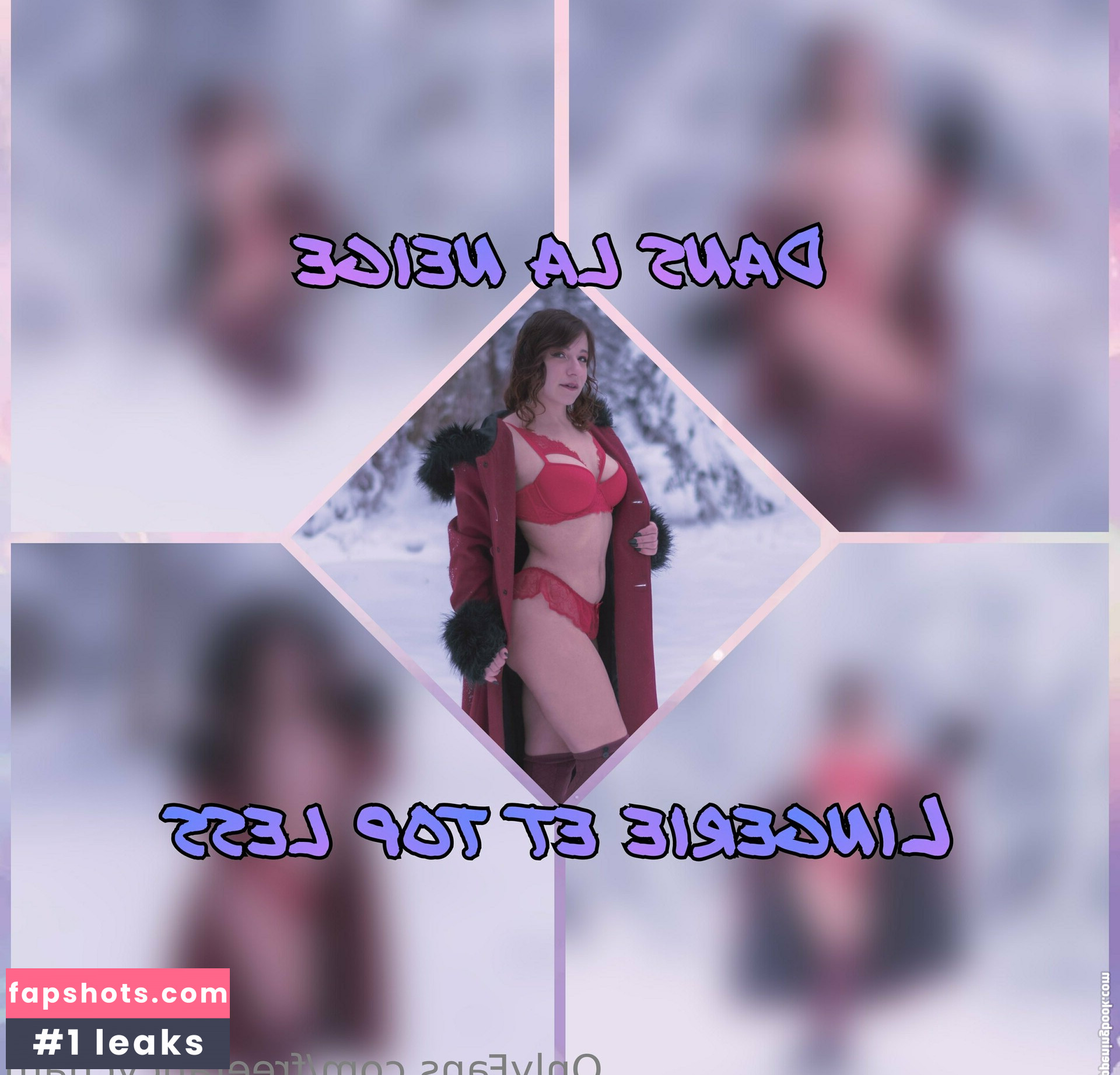 freefancycham gallery photo #8