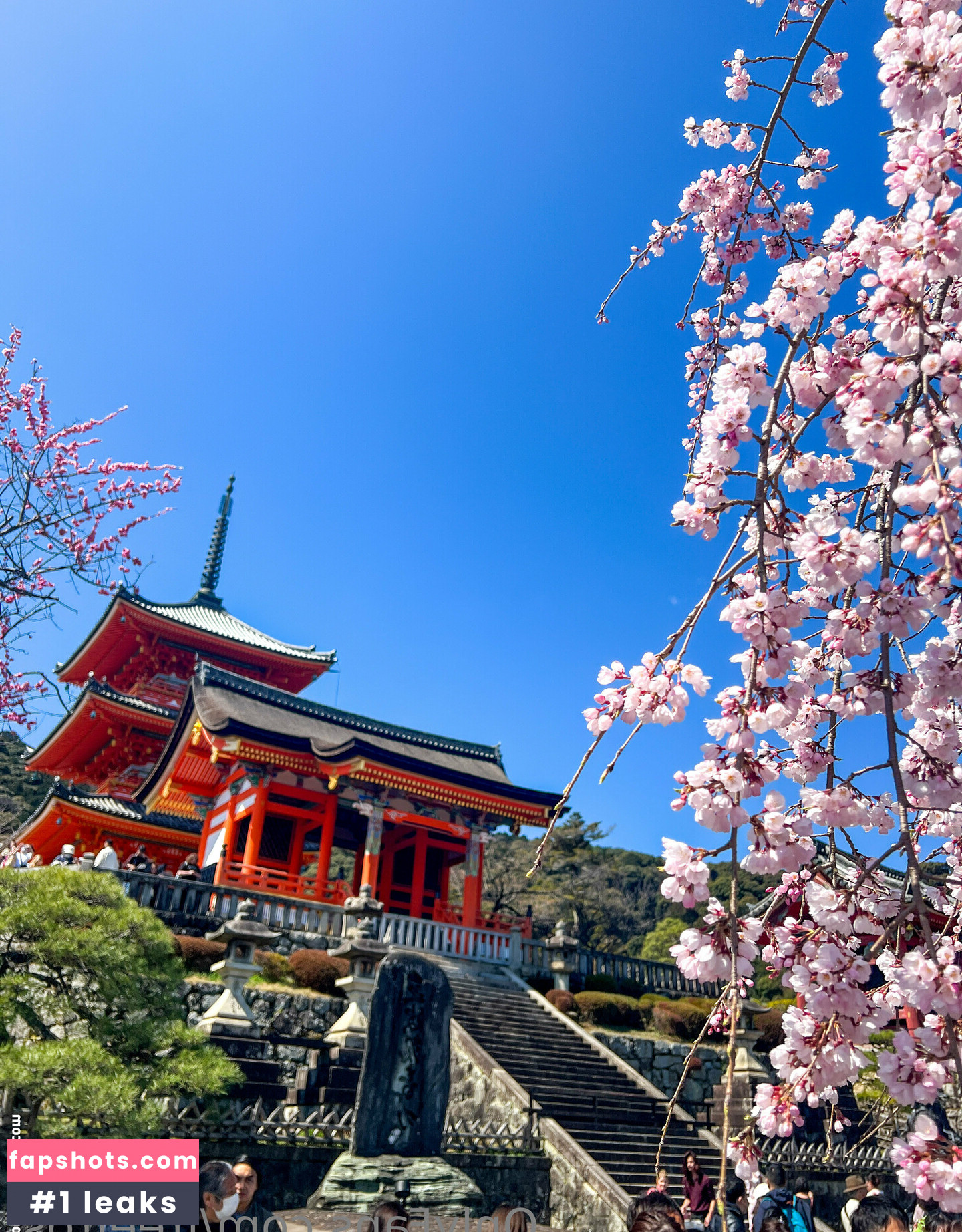 freefrost gallery photo #103