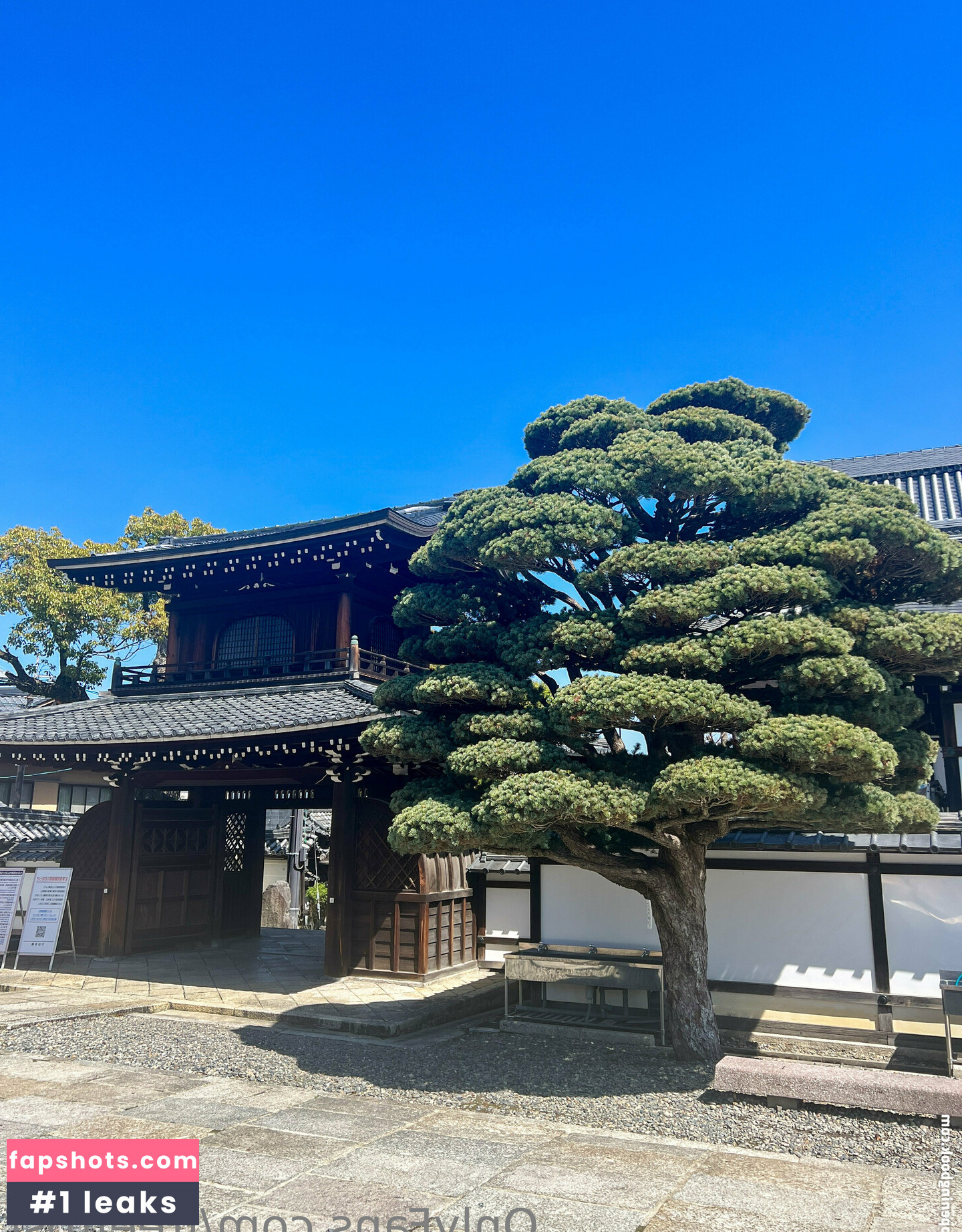 freefrost gallery photo #109