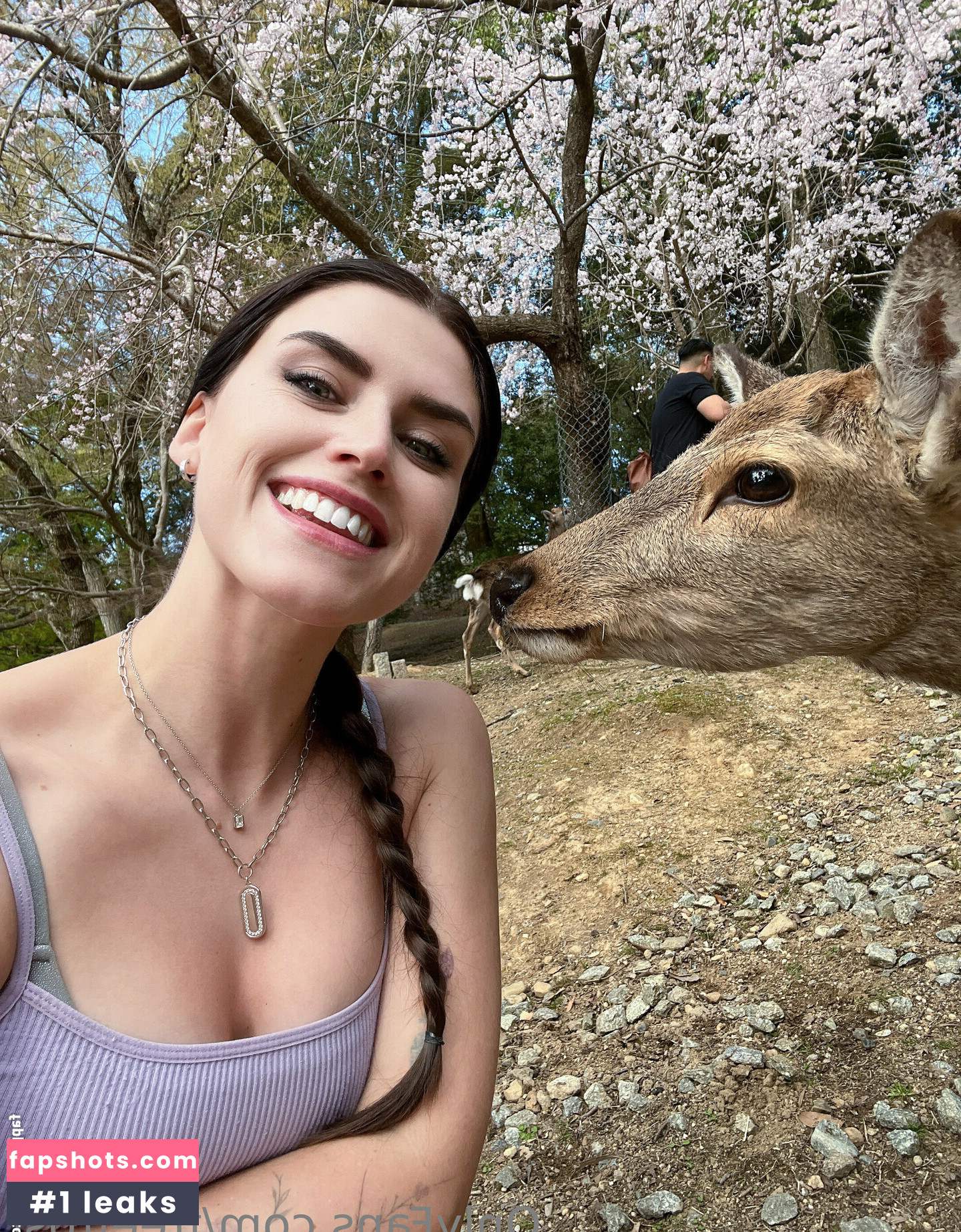 freefrost gallery photo #110