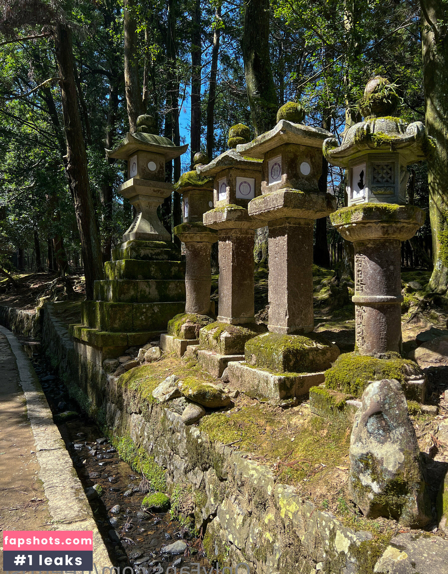 freefrost gallery photo #111