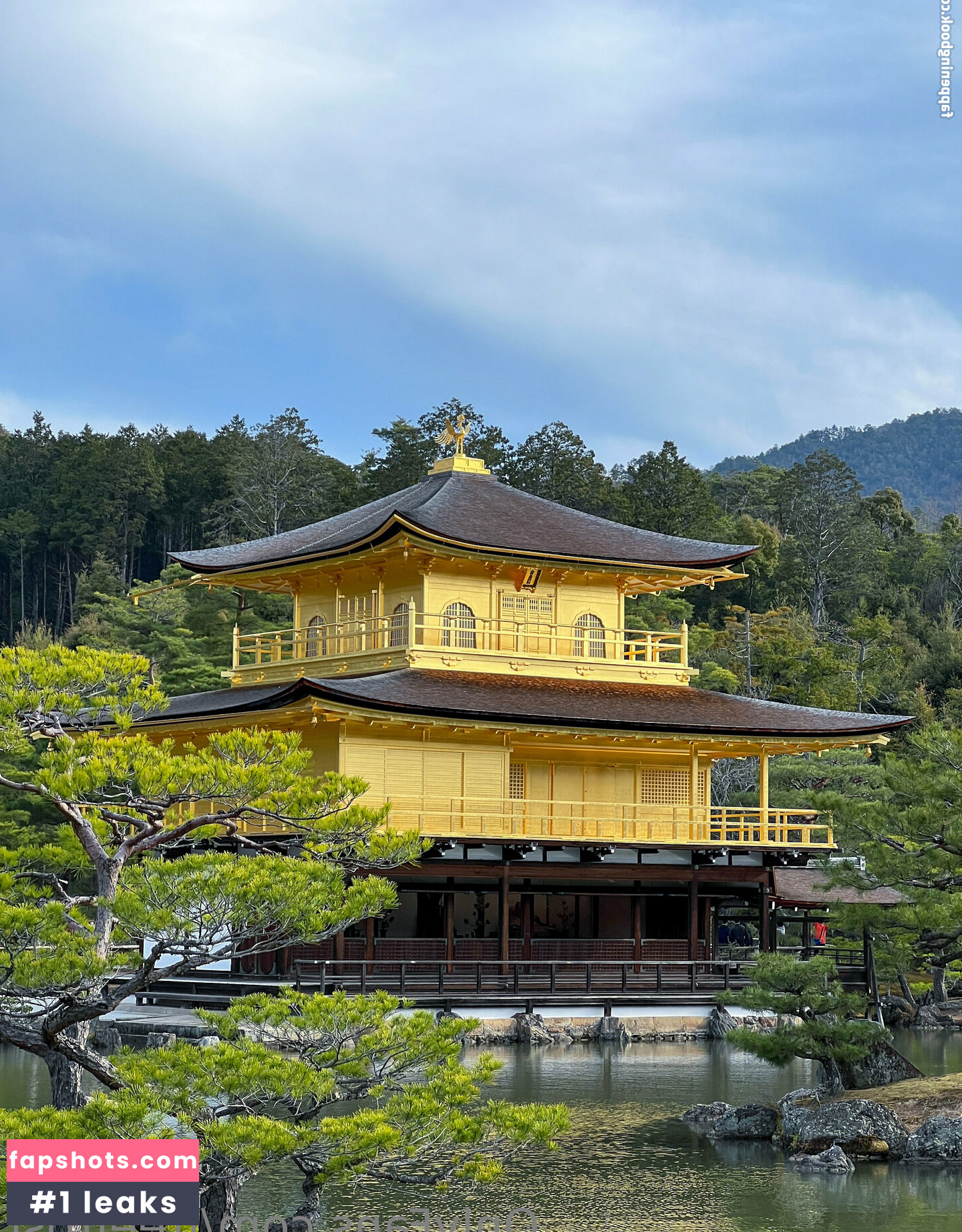 freefrost gallery photo #113