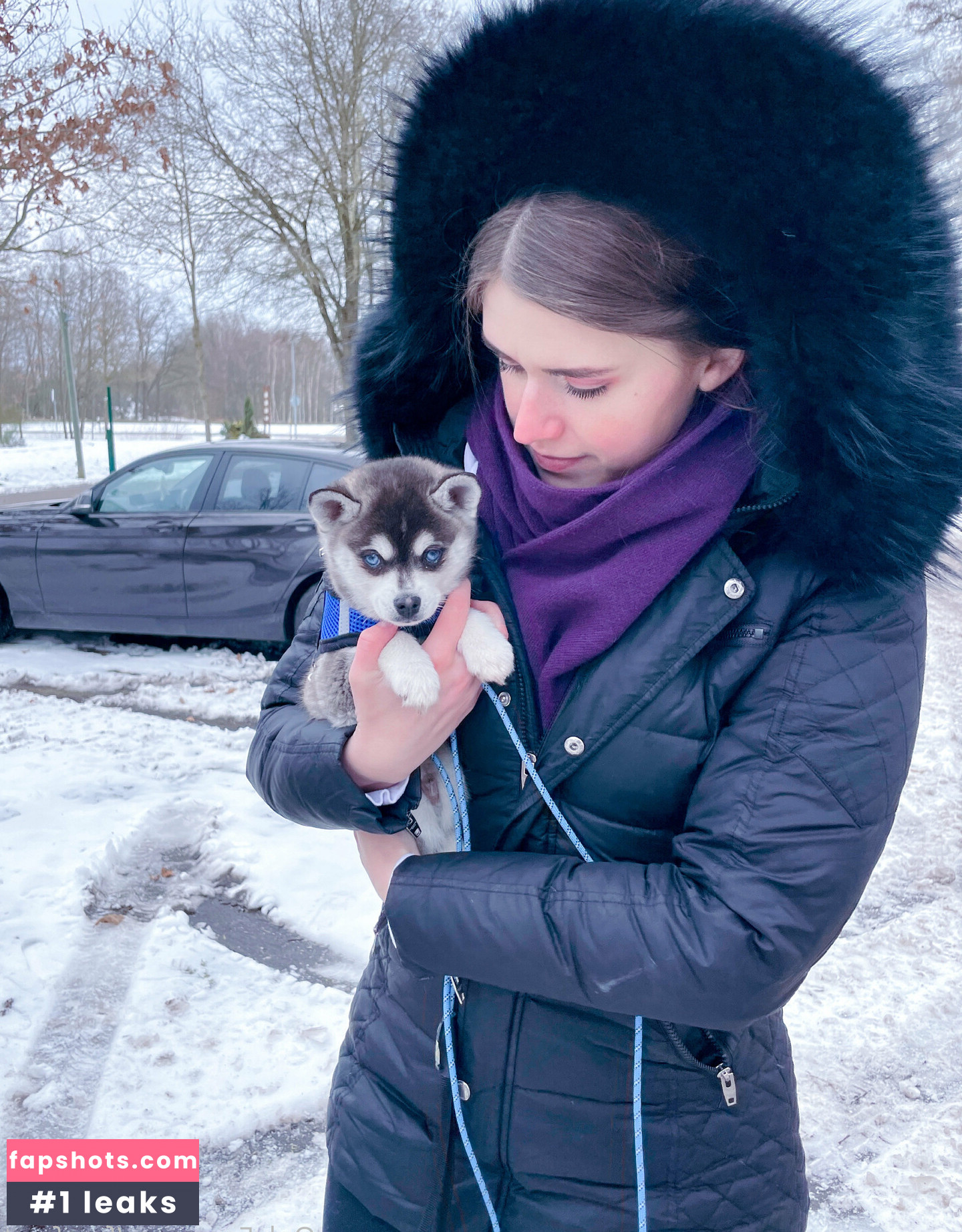 freefrost gallery photo #118