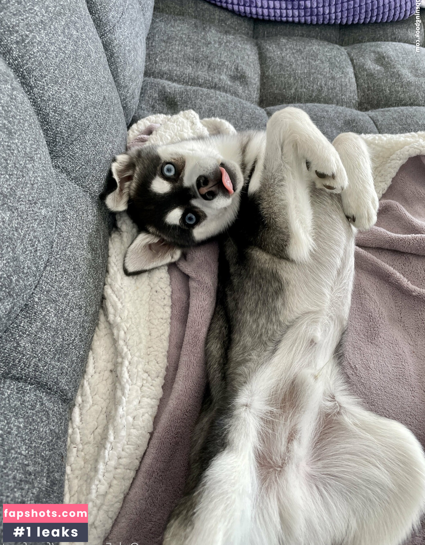 freefrost gallery photo #158