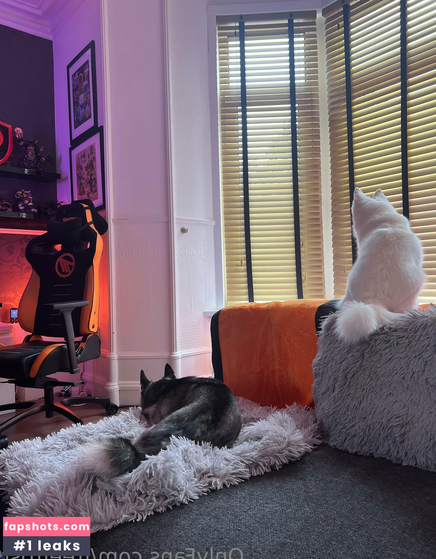 freefrost gallery photo #27