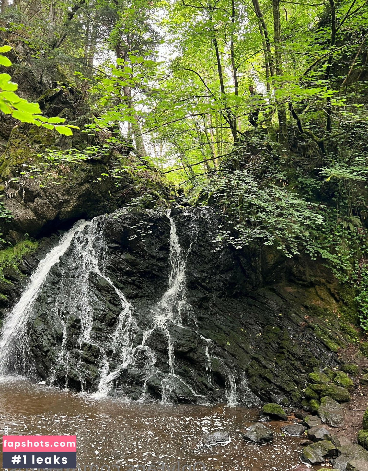 freefrost gallery photo #46