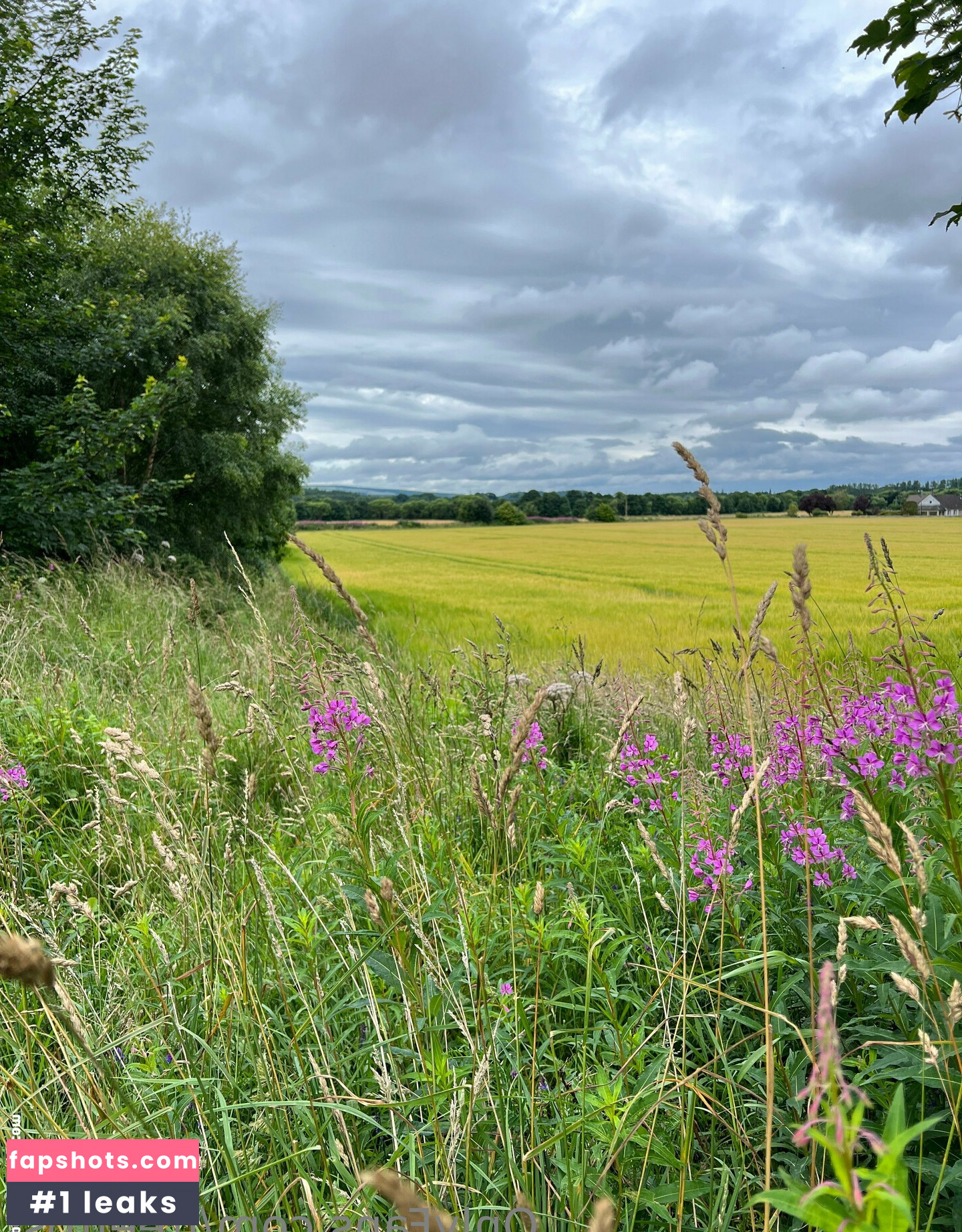 freefrost gallery photo #50