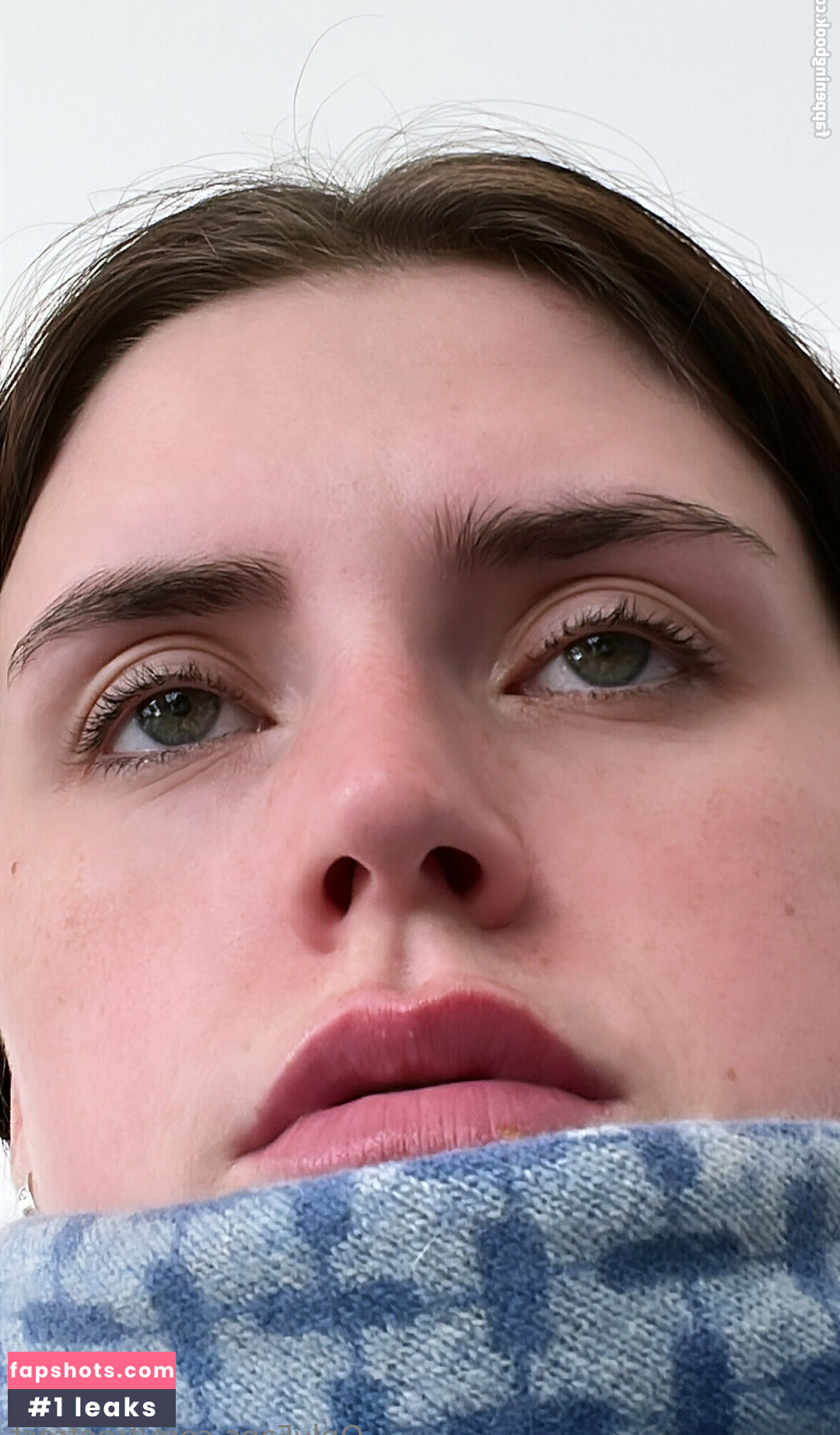 freefrost gallery photo #9