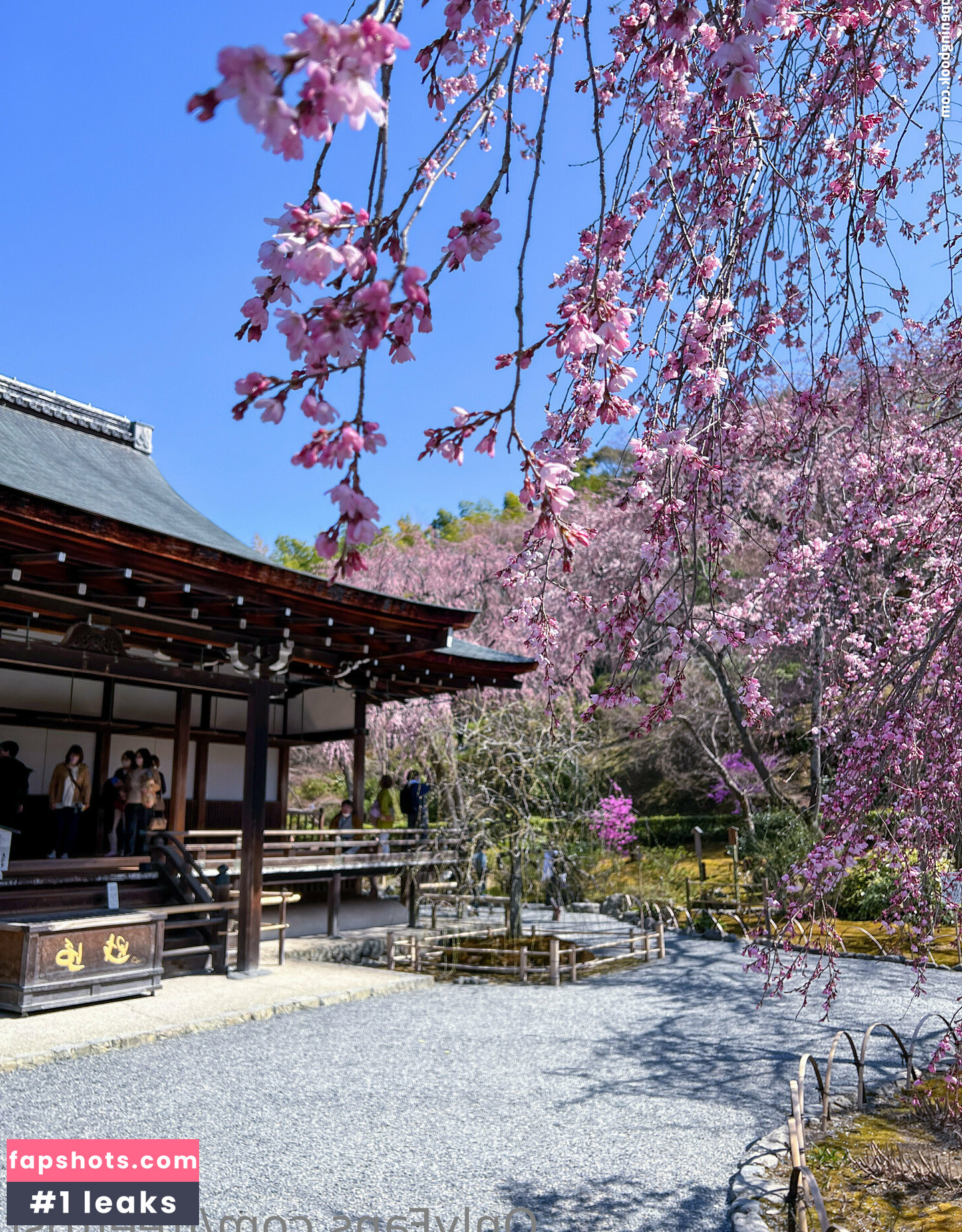 freefrost gallery photo #90