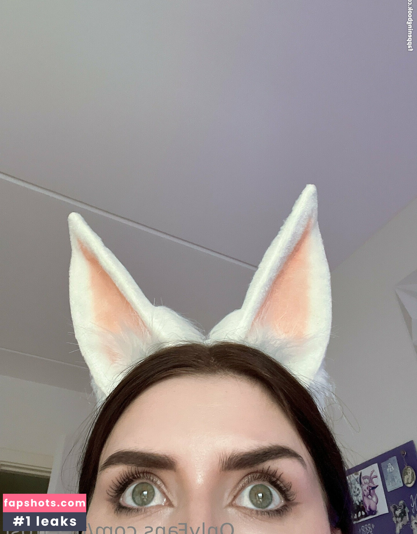 freefrost gallery photo #94