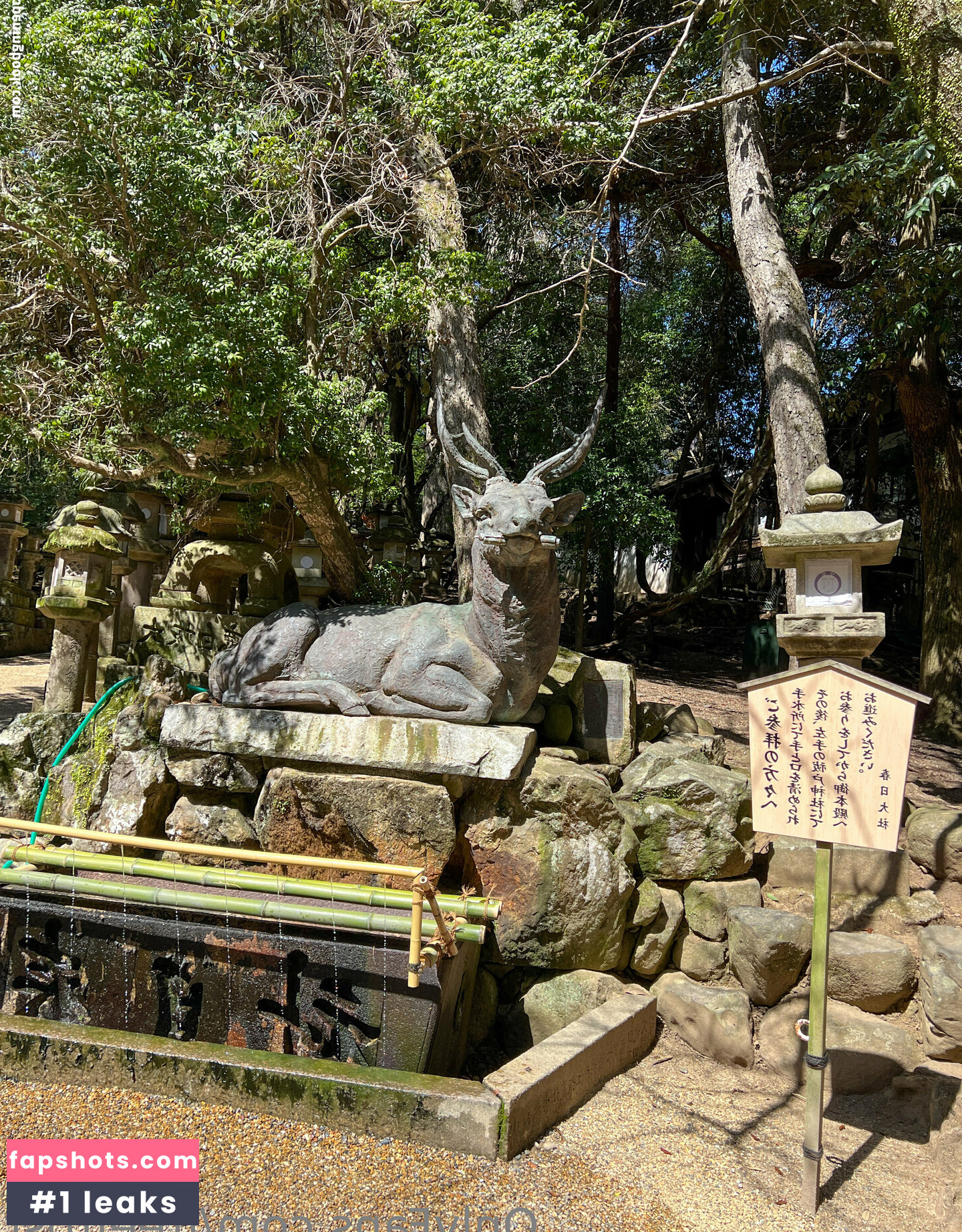 freefrost gallery photo #97