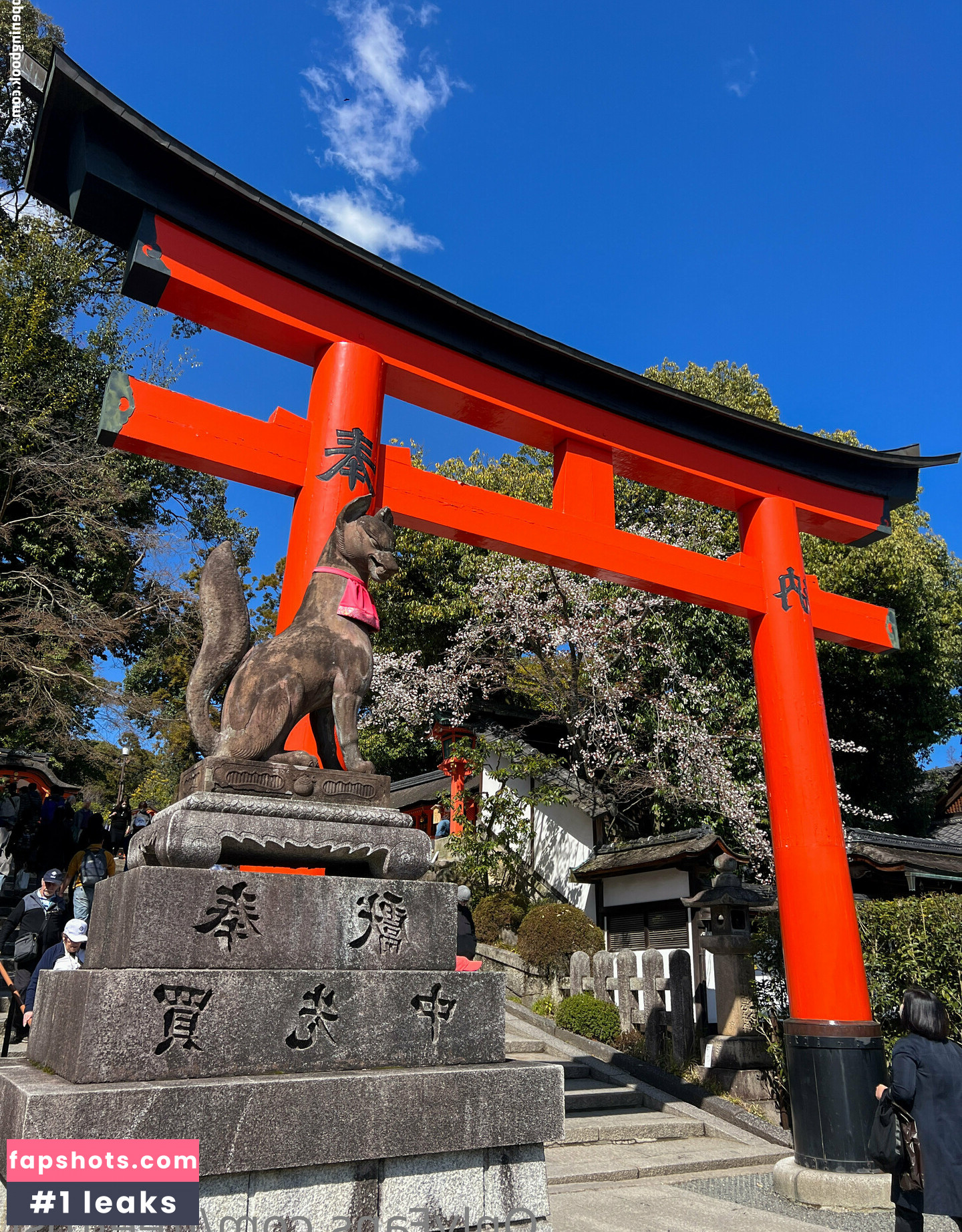 freefrost gallery photo #100