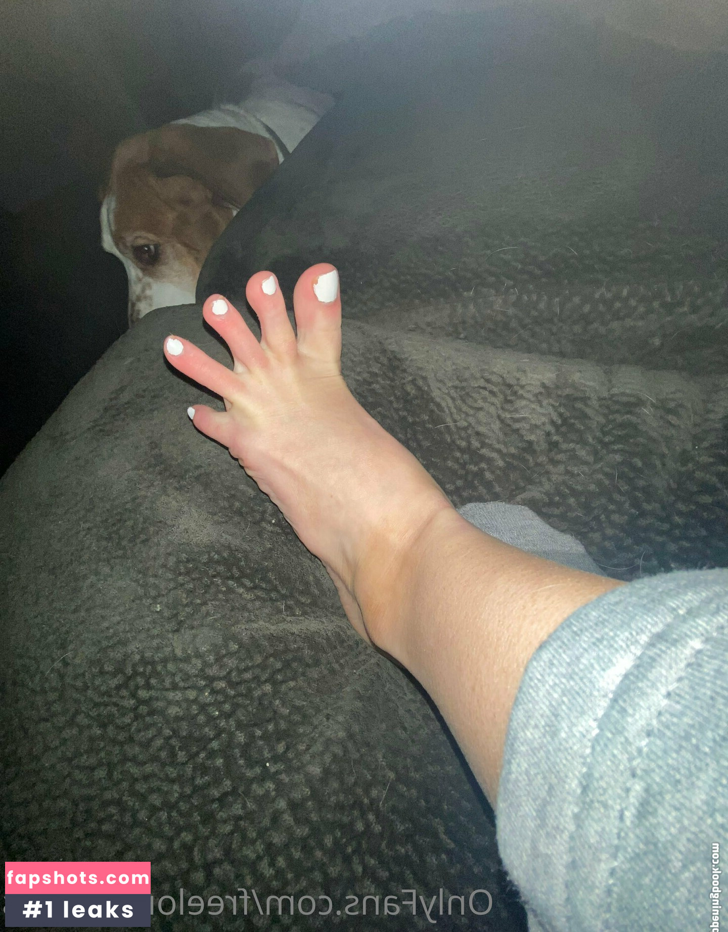 freelongpiggies gallery photo #13