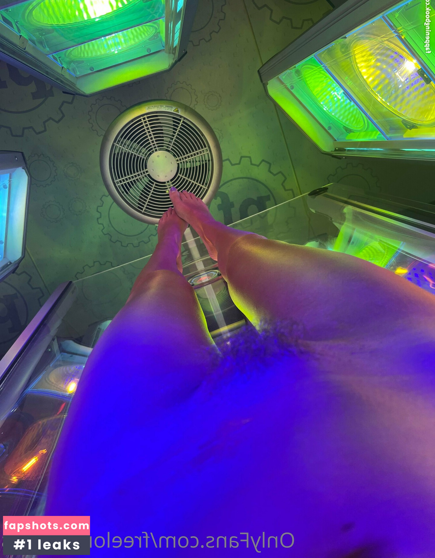 freelongpiggies gallery photo #14