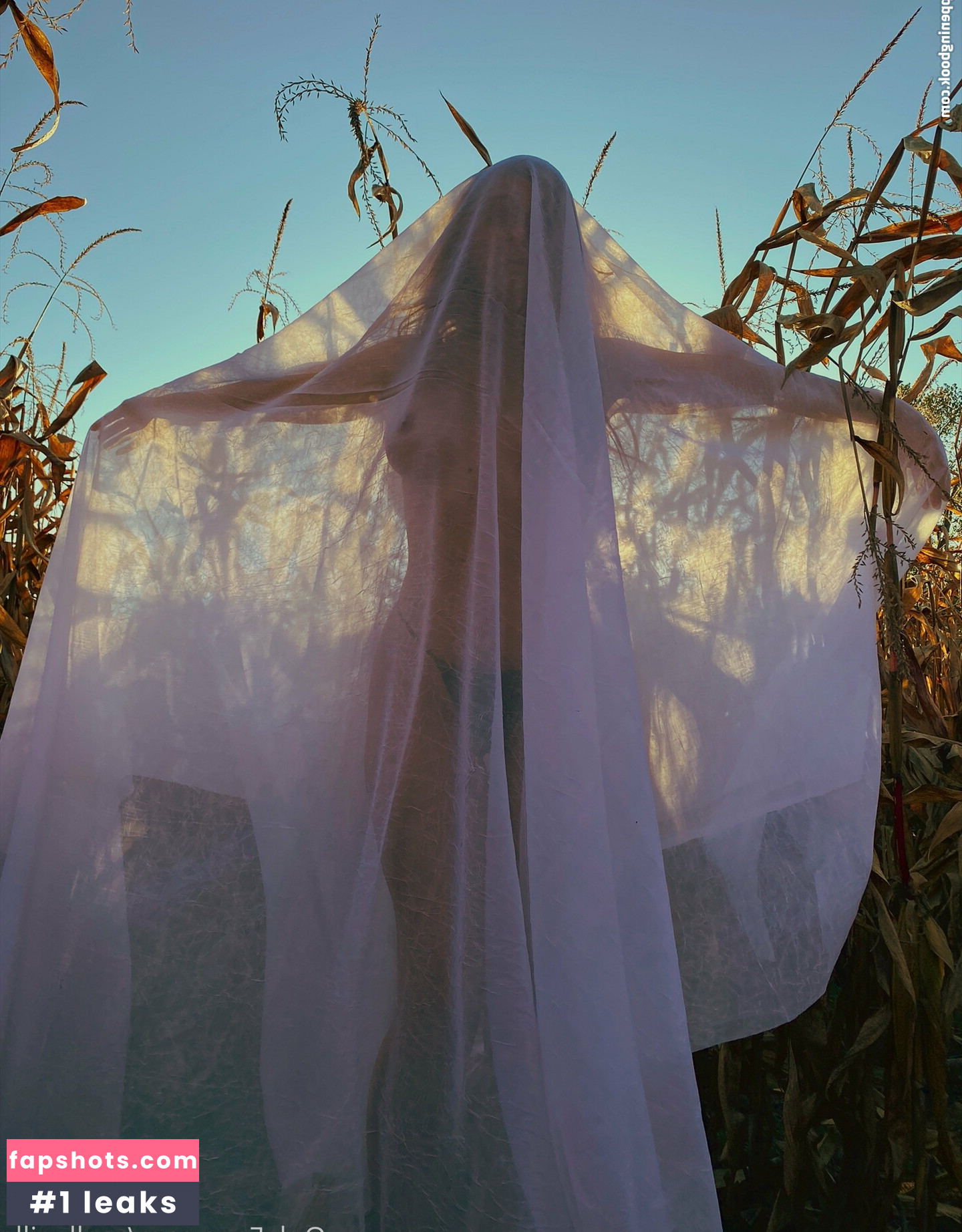 freemollypills Nude Leaks OnlyFans Photos #56 - Fapshots