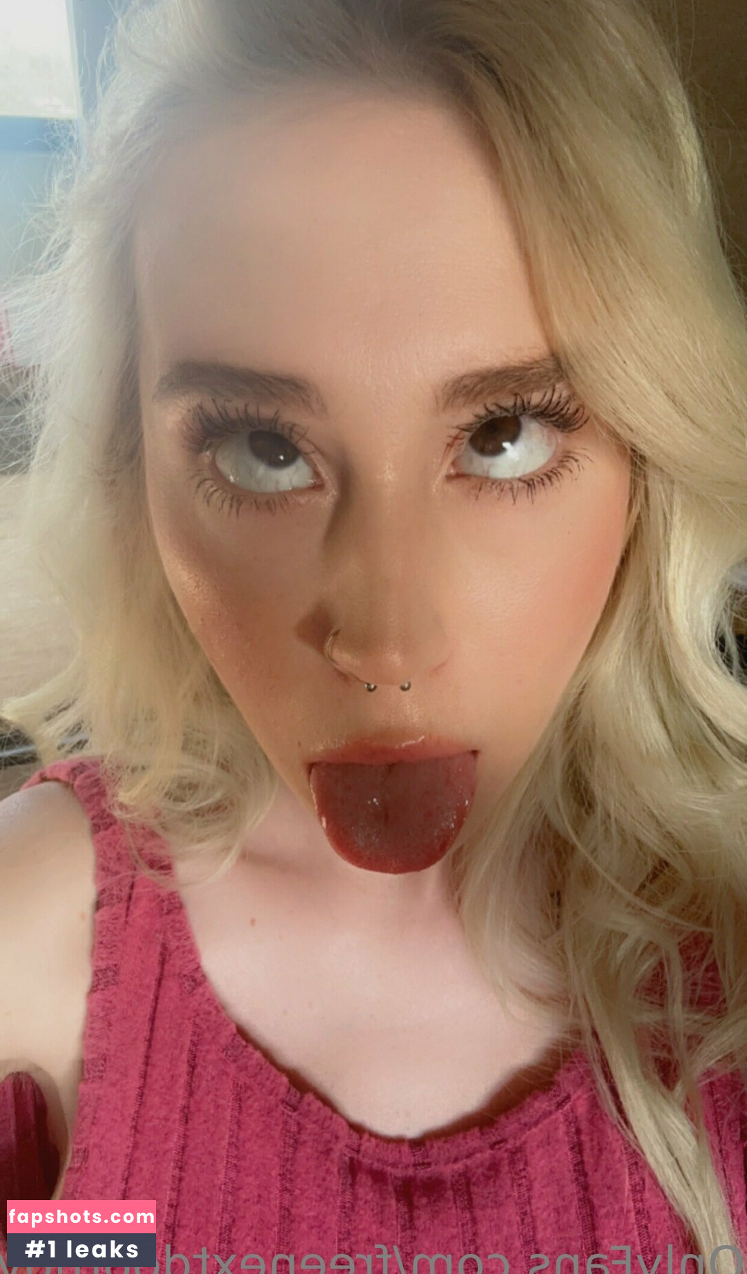 freenextdoornova gallery photo #16